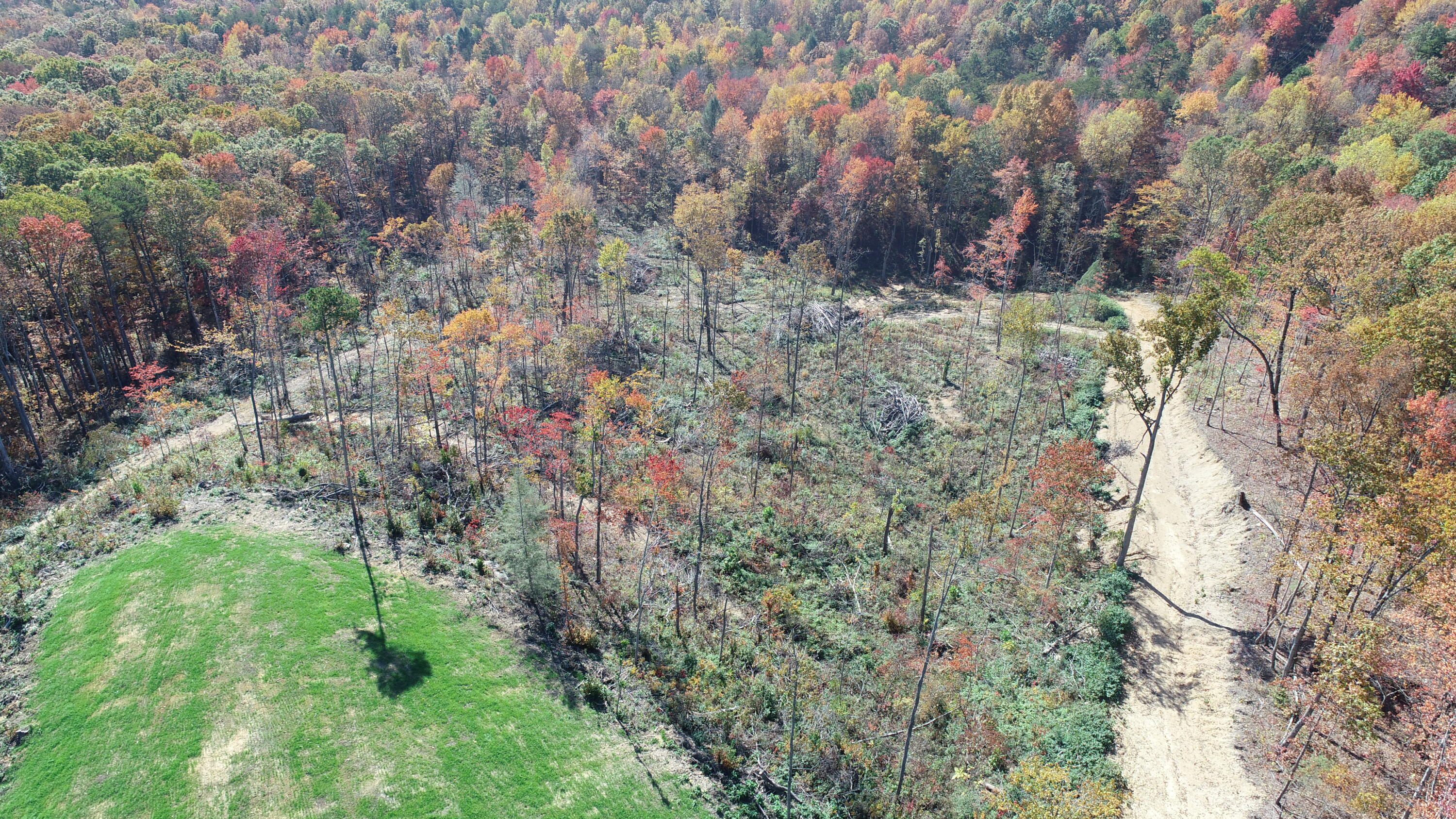 8888 Highway 90 Road Property Photo 26