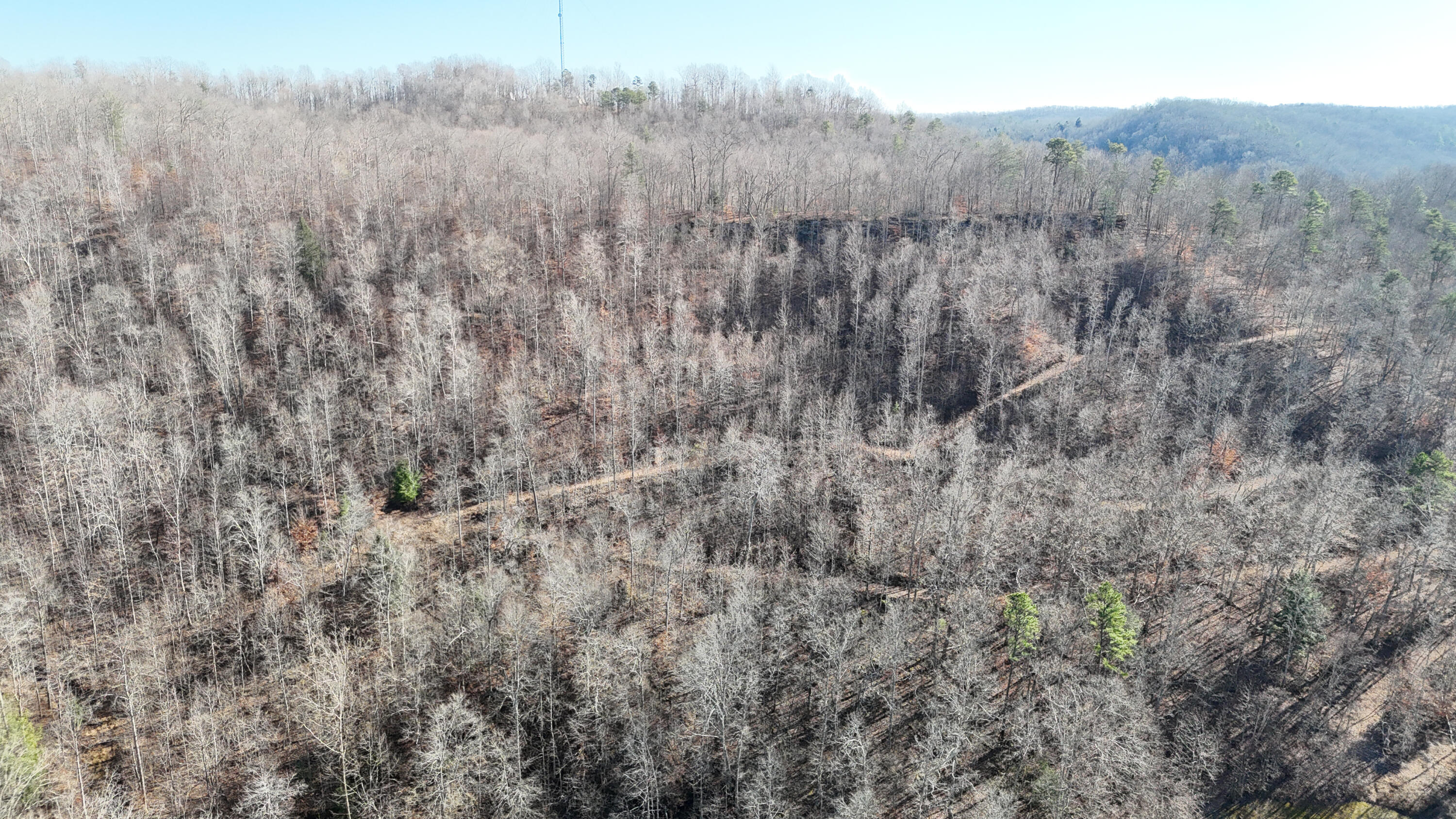 408 Hwy. 421 Property Photo 68