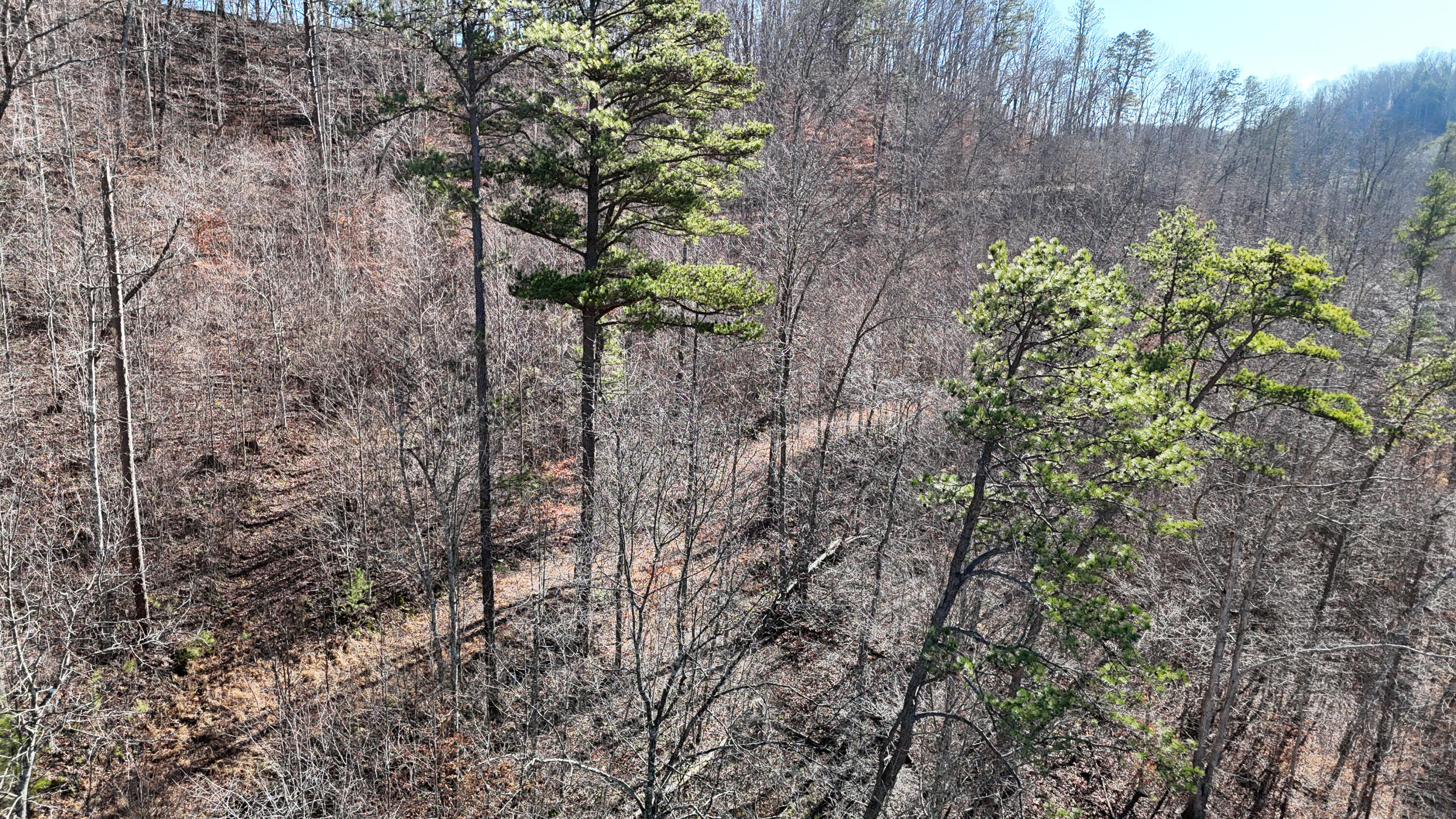 408 Hwy. 421 Property Photo 72