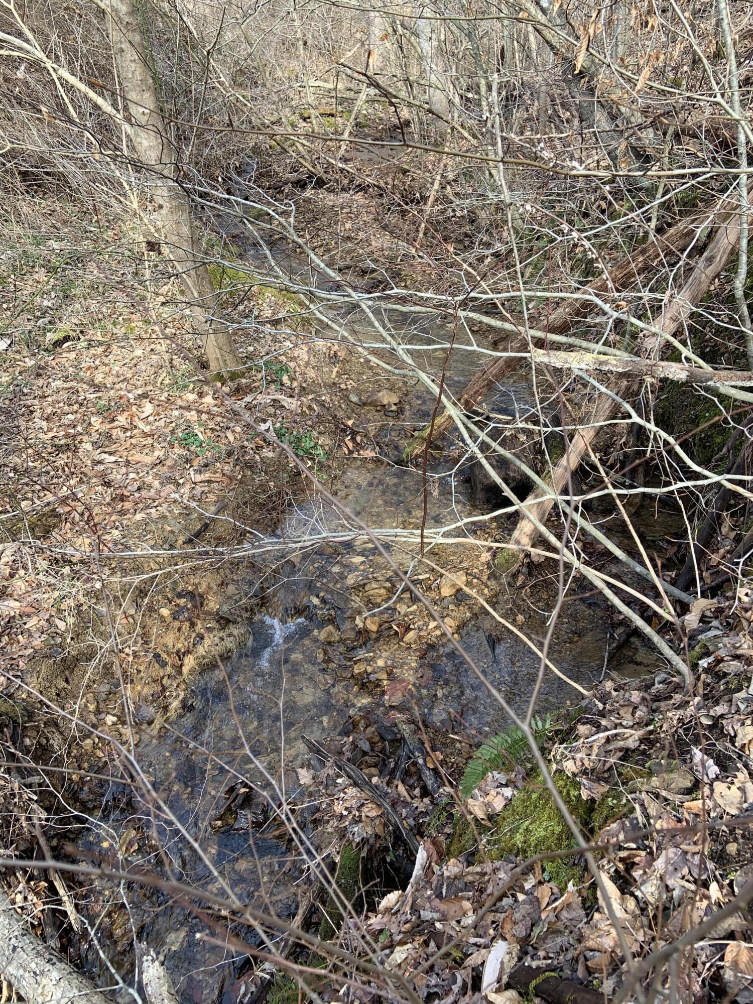 408 Hwy. 421 Property Photo 77