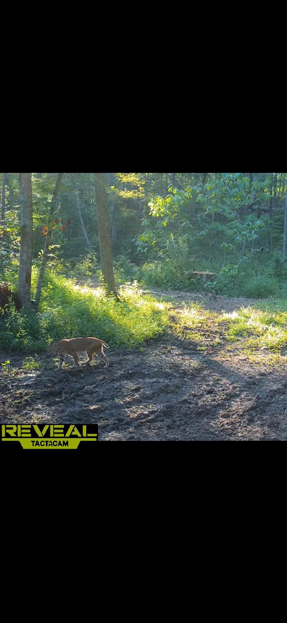 150 Lecompte Bottom Road Property Photo 52
