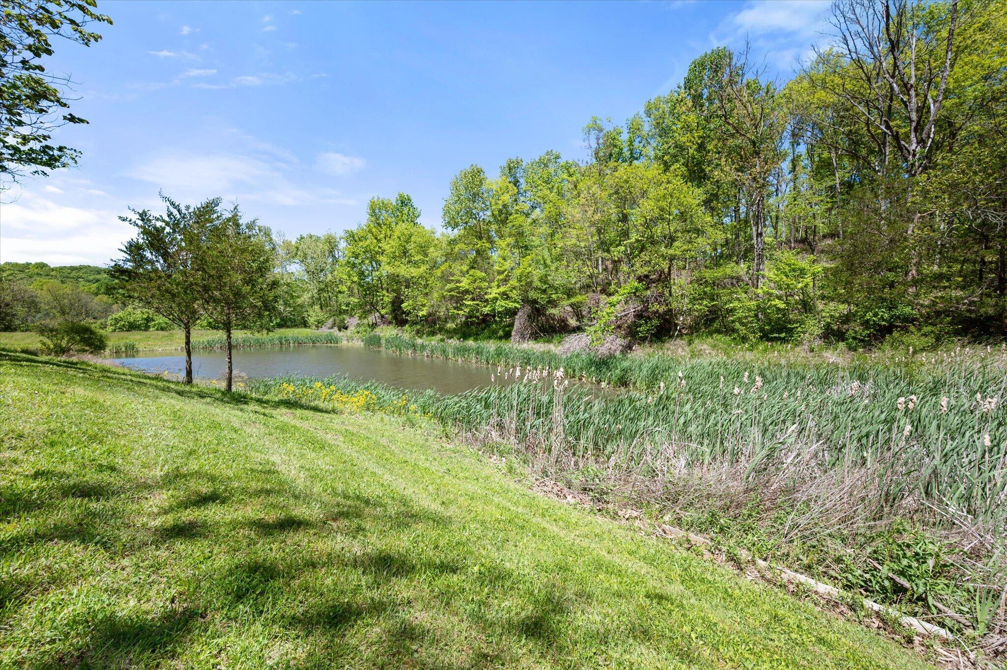 150 Lecompte Bottom Road Property Photo 58