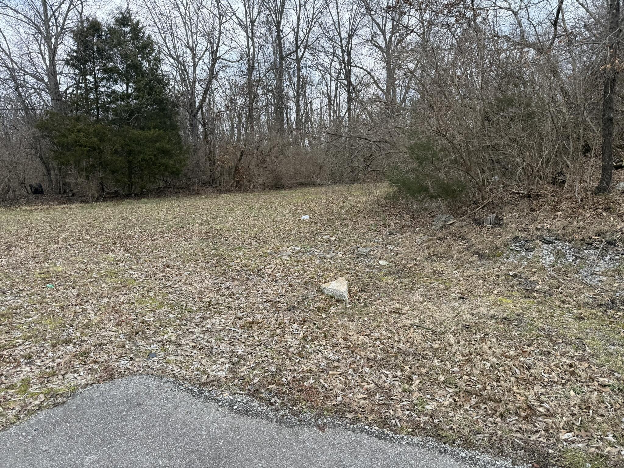1055 W Shelby Street Property Photo 5