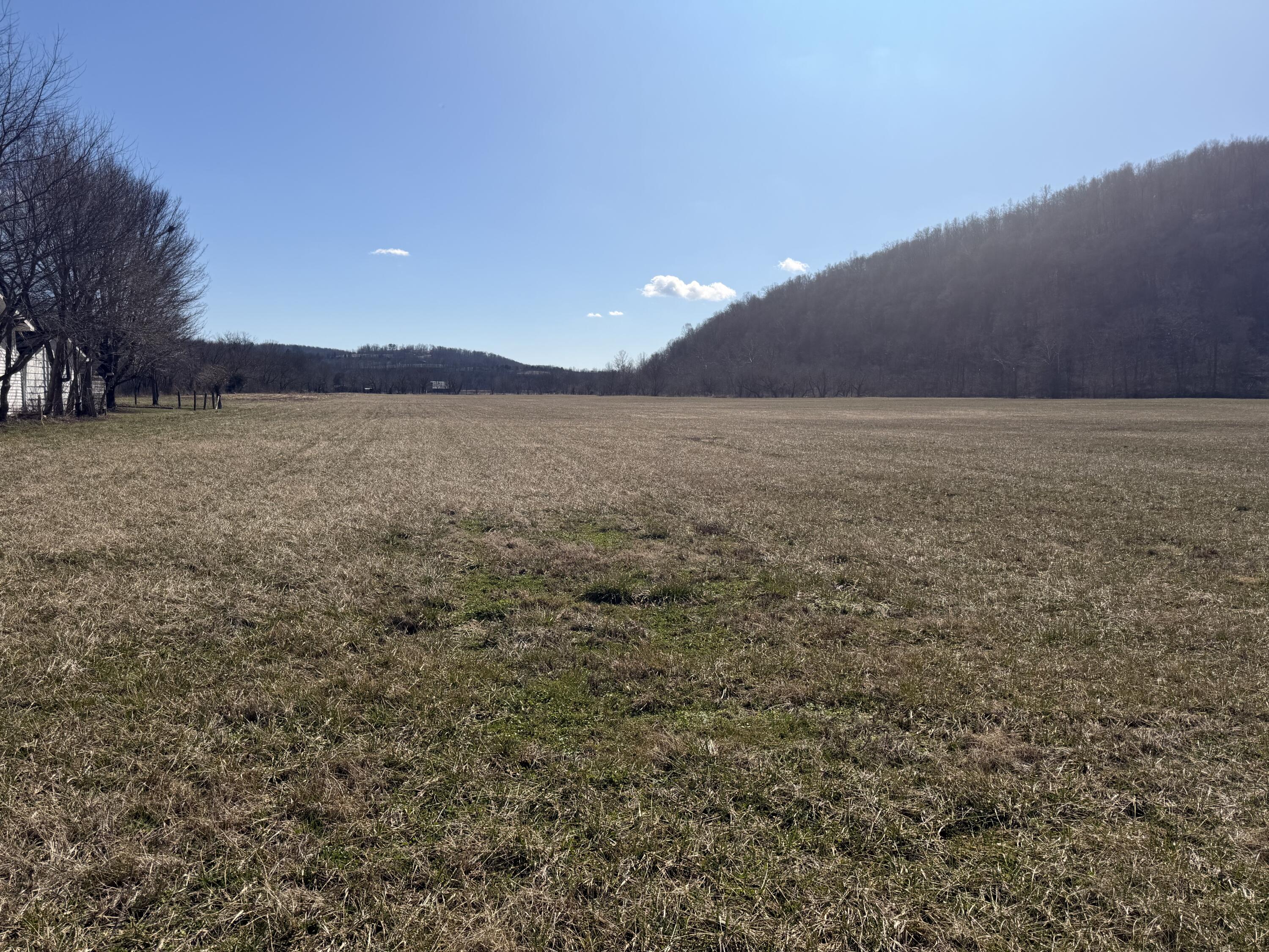 658 Wildie Road Property Photo 4