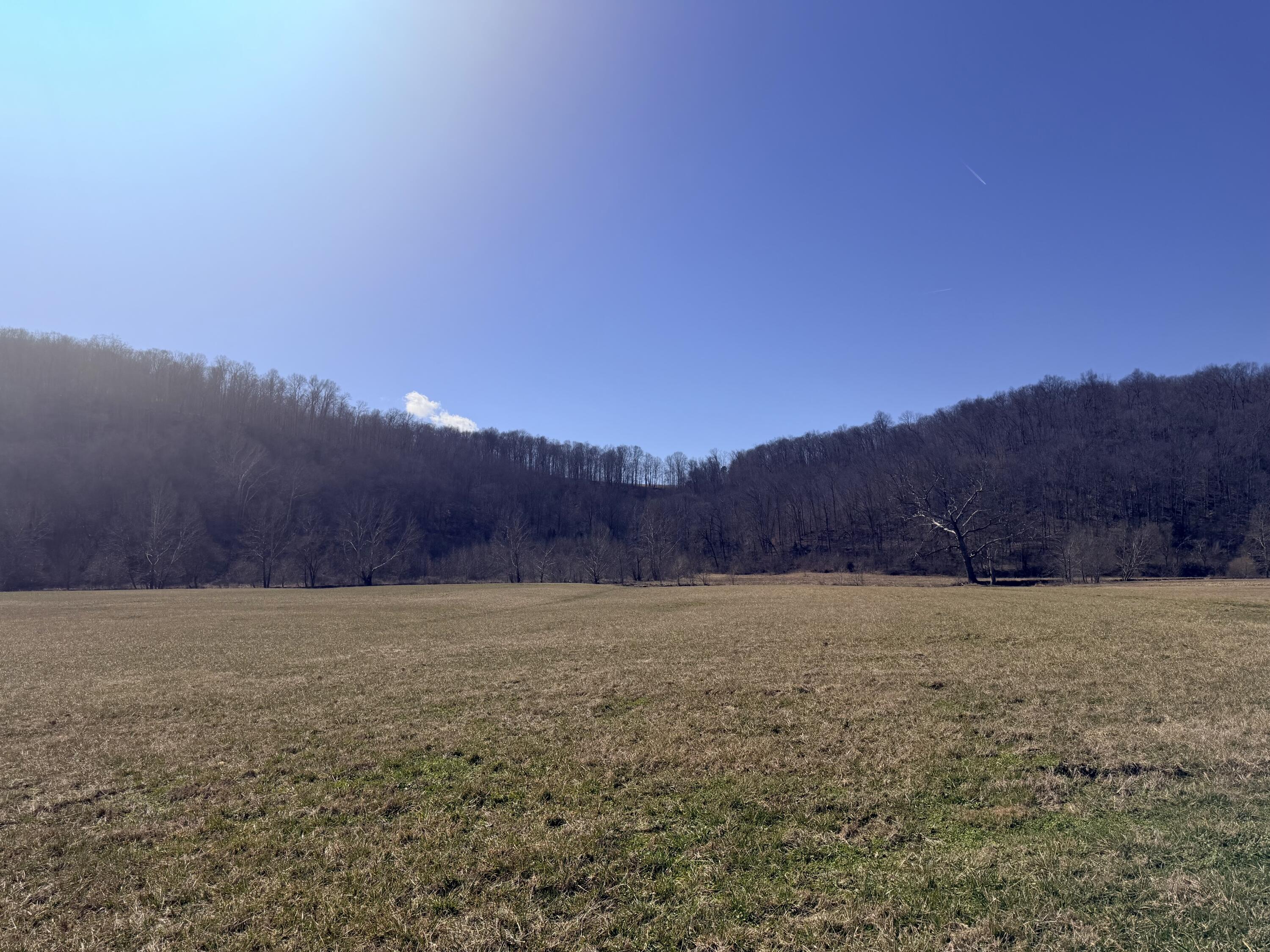 658 Wildie Road Property Photo 6