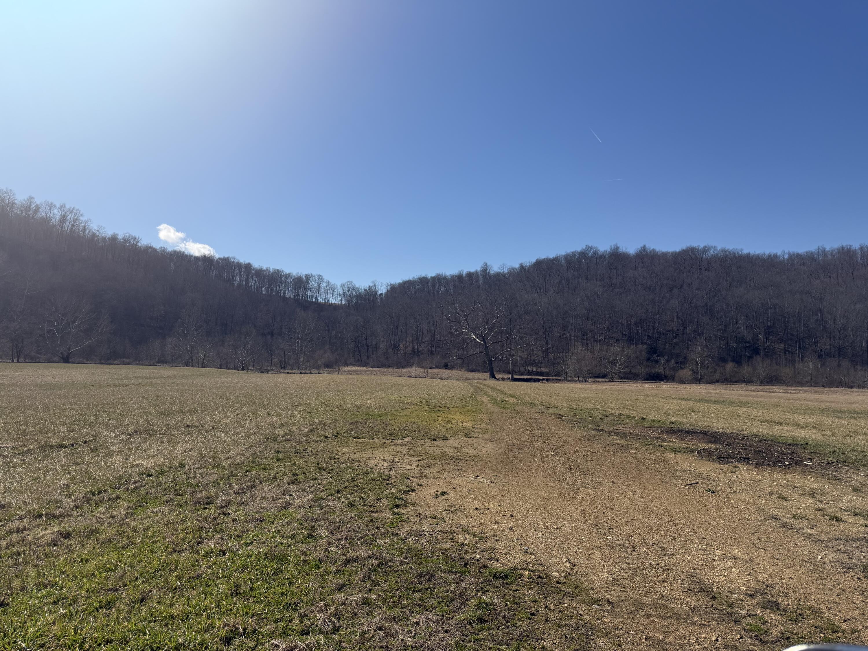 658 Wildie Road Property Photo 7
