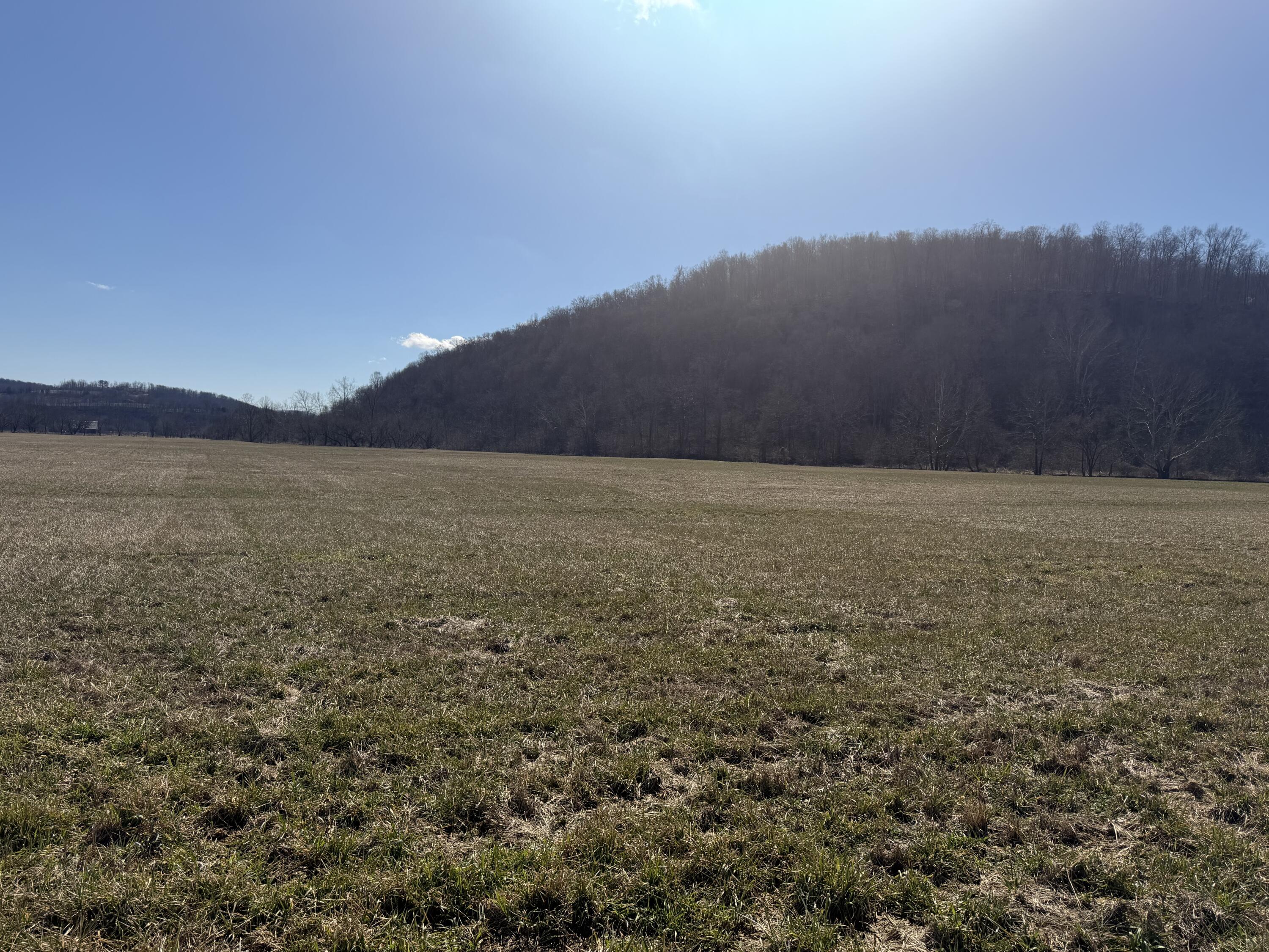 658 Wildie Road Property Photo 8