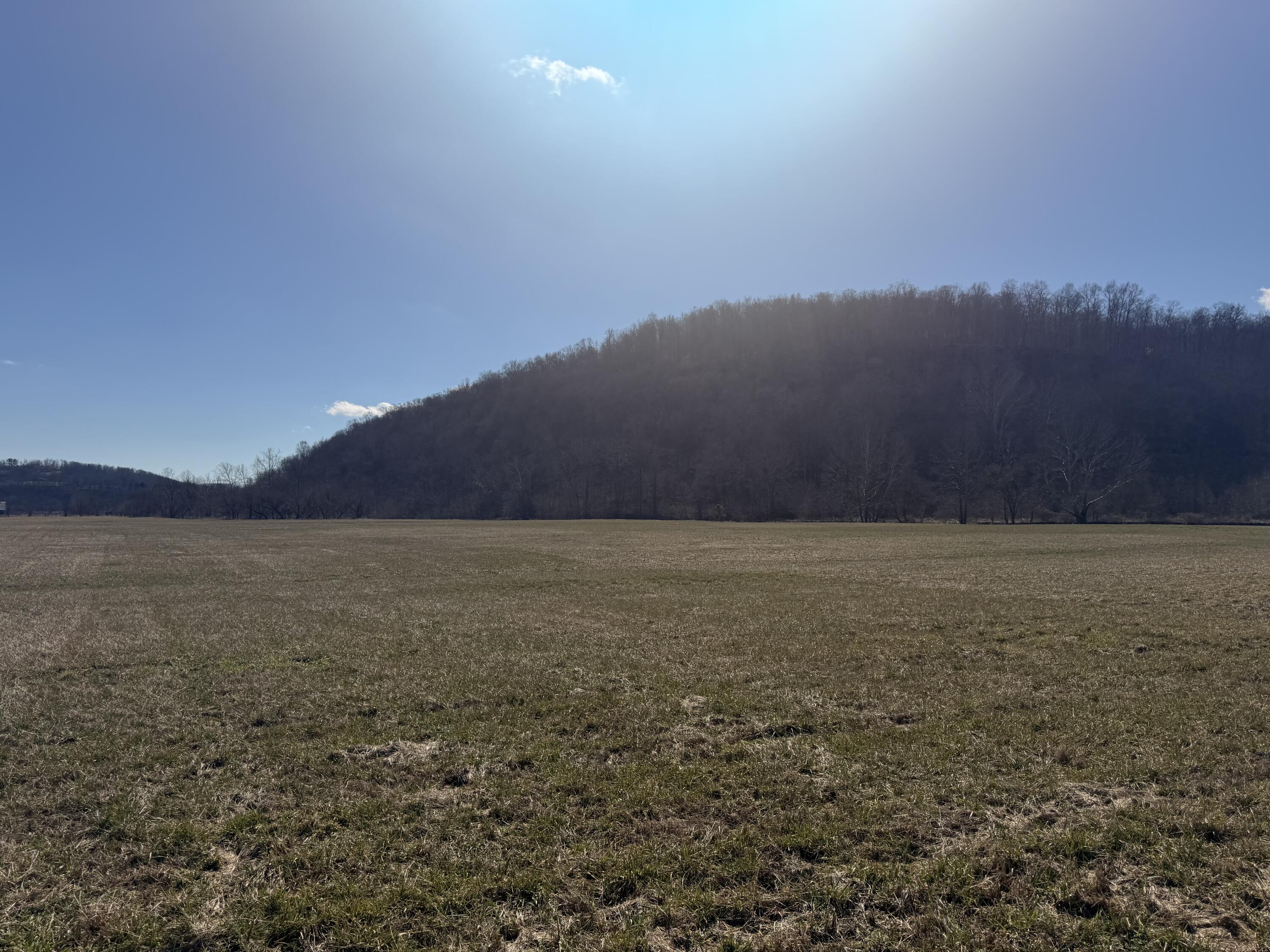 658 Wildie Road Property Photo 10
