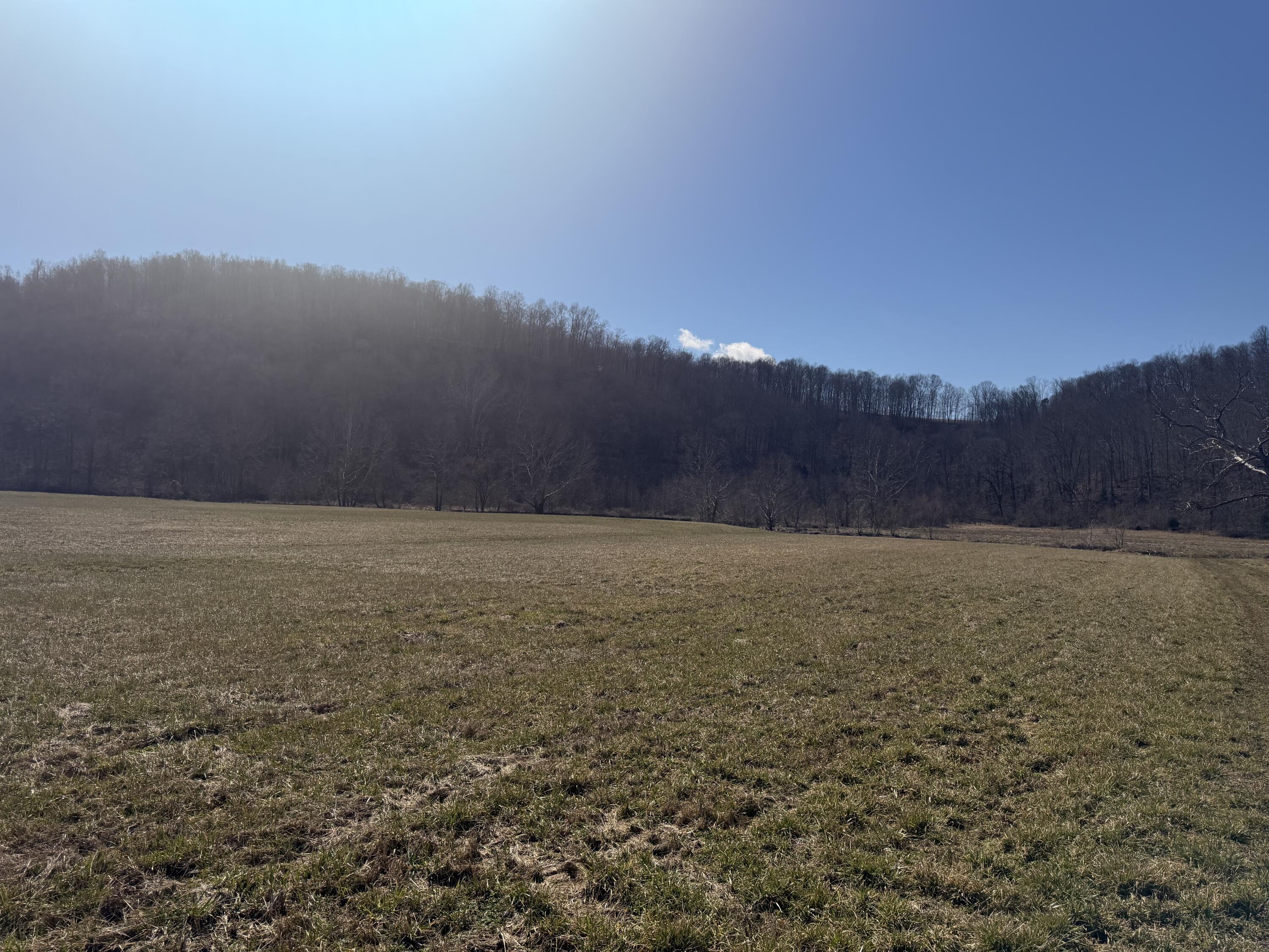 658 Wildie Road Property Photo 11