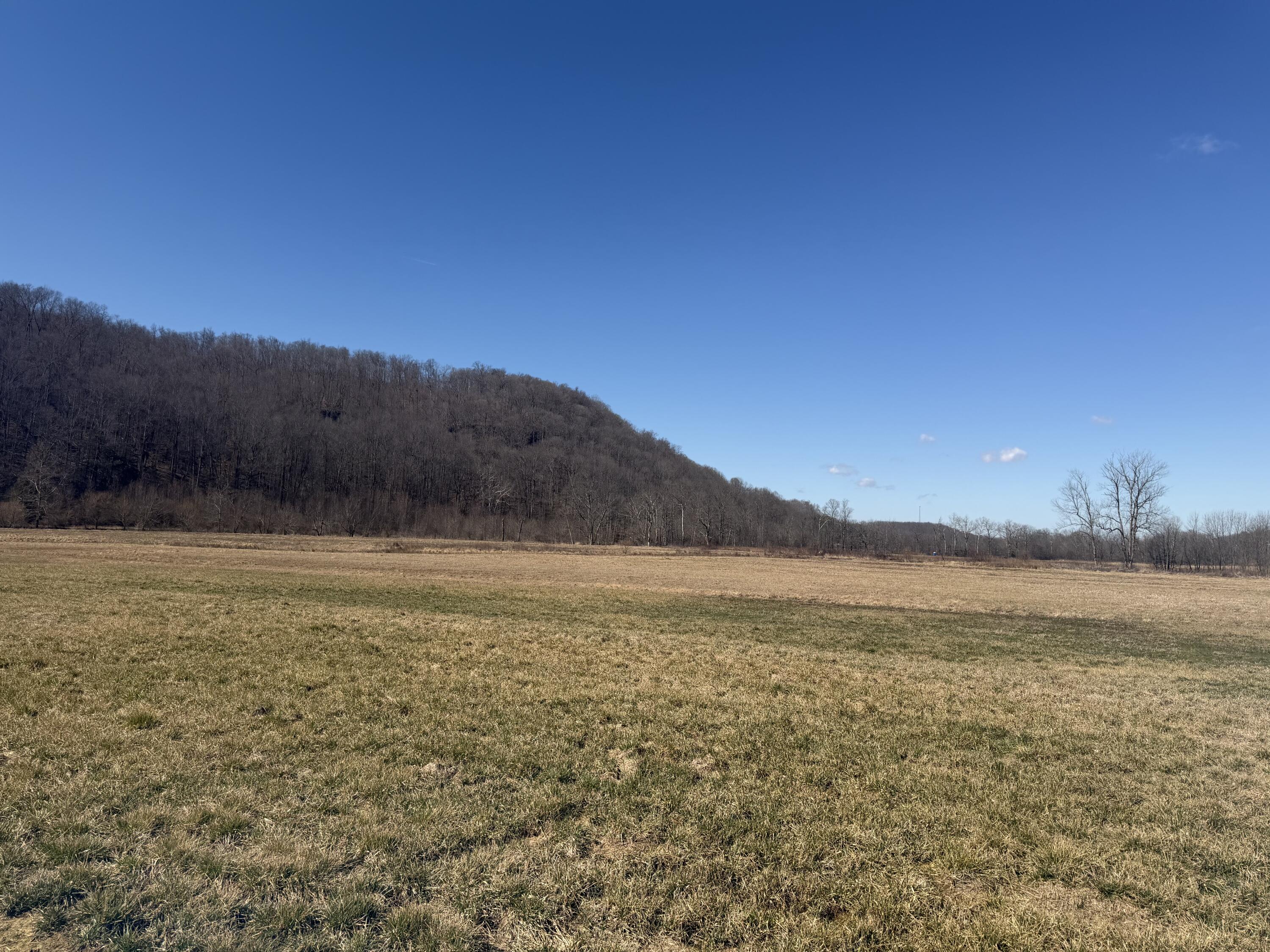 658 Wildie Road Property Photo 13