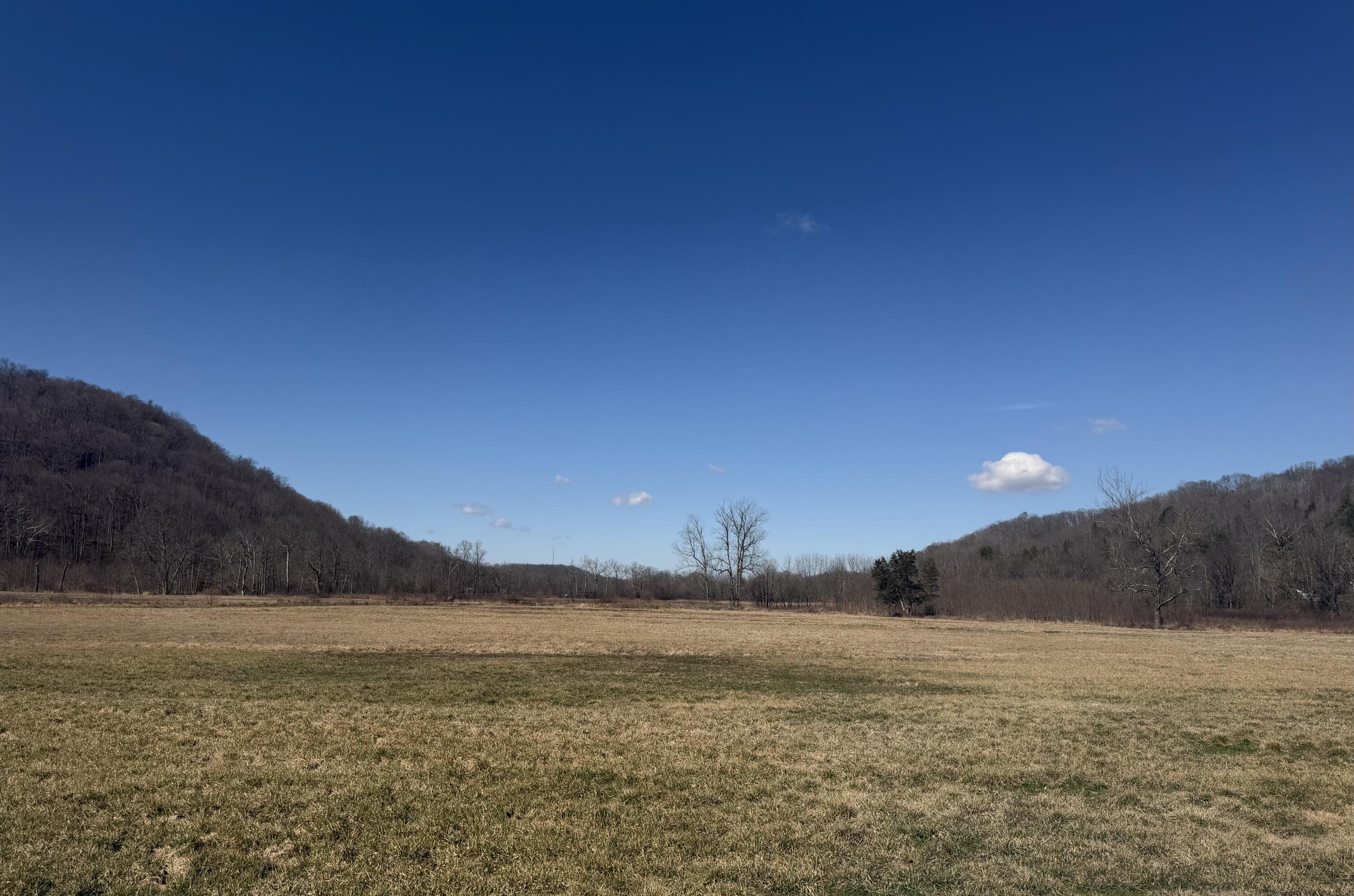 658 Wildie Road Property Photo 14