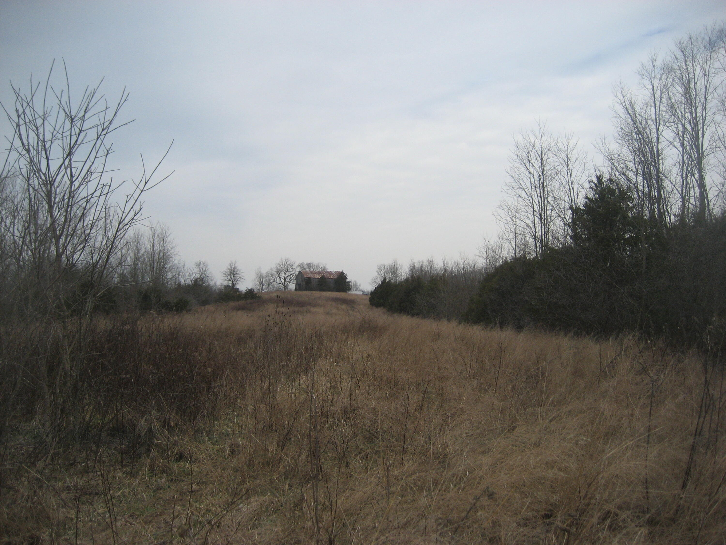 1234 Rutherford School Rd Rutherford School Road Property Photo 2