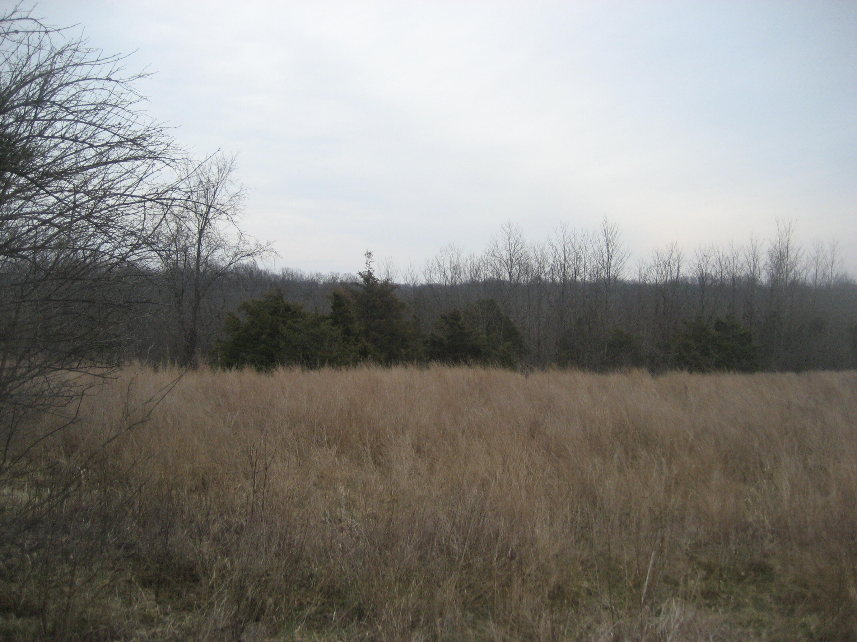 1234 Rutherford School Rd Rutherford School Road Property Photo 3