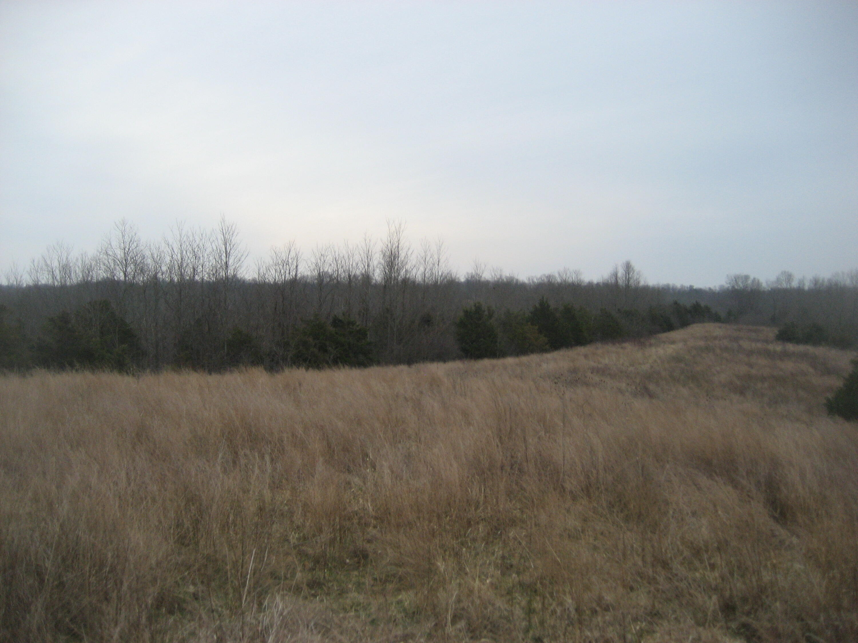 1234 Rutherford School Rd Rutherford School Road Property Photo 4