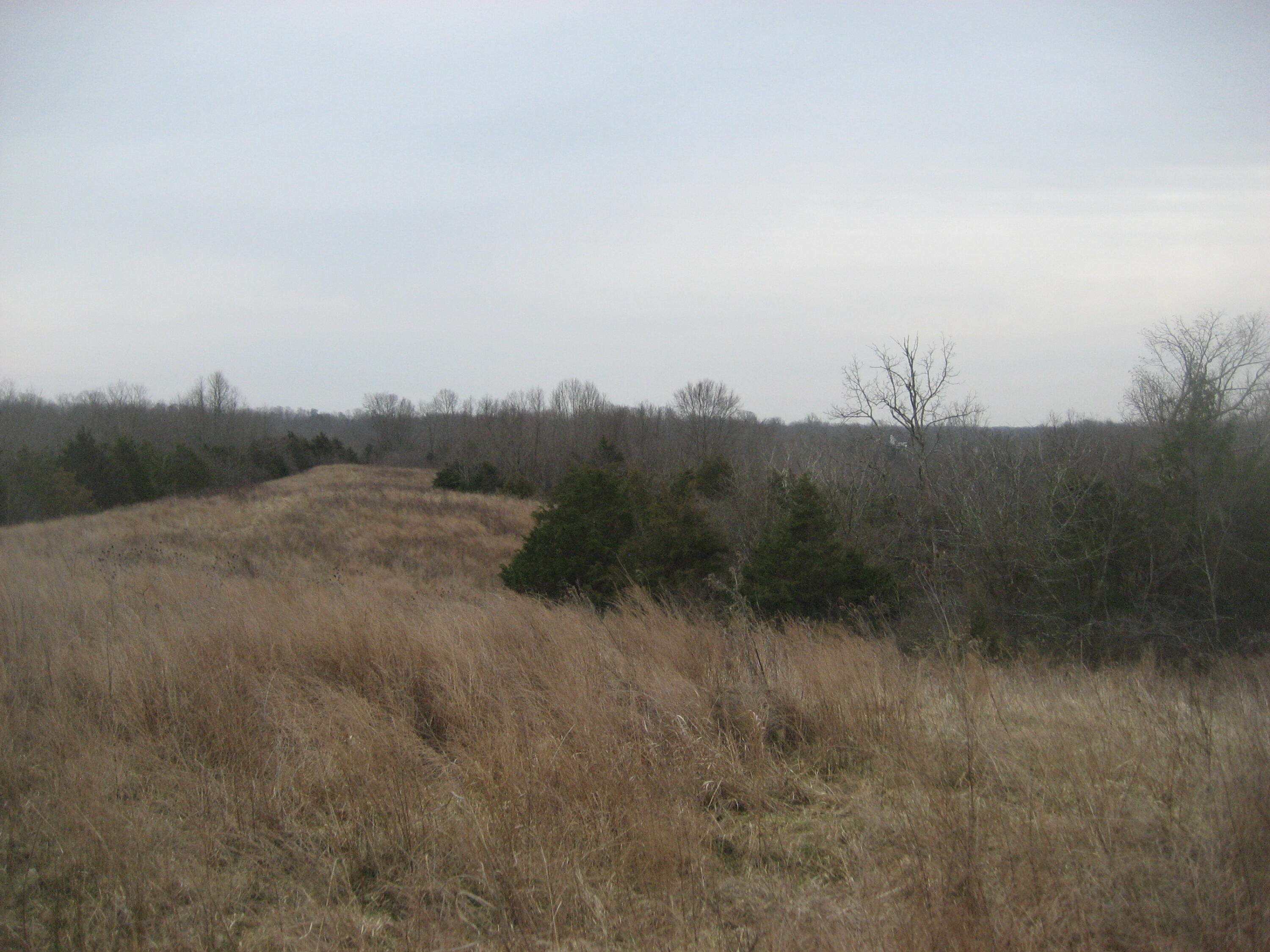 1234 Rutherford School Rd Rutherford School Road Property Photo 5