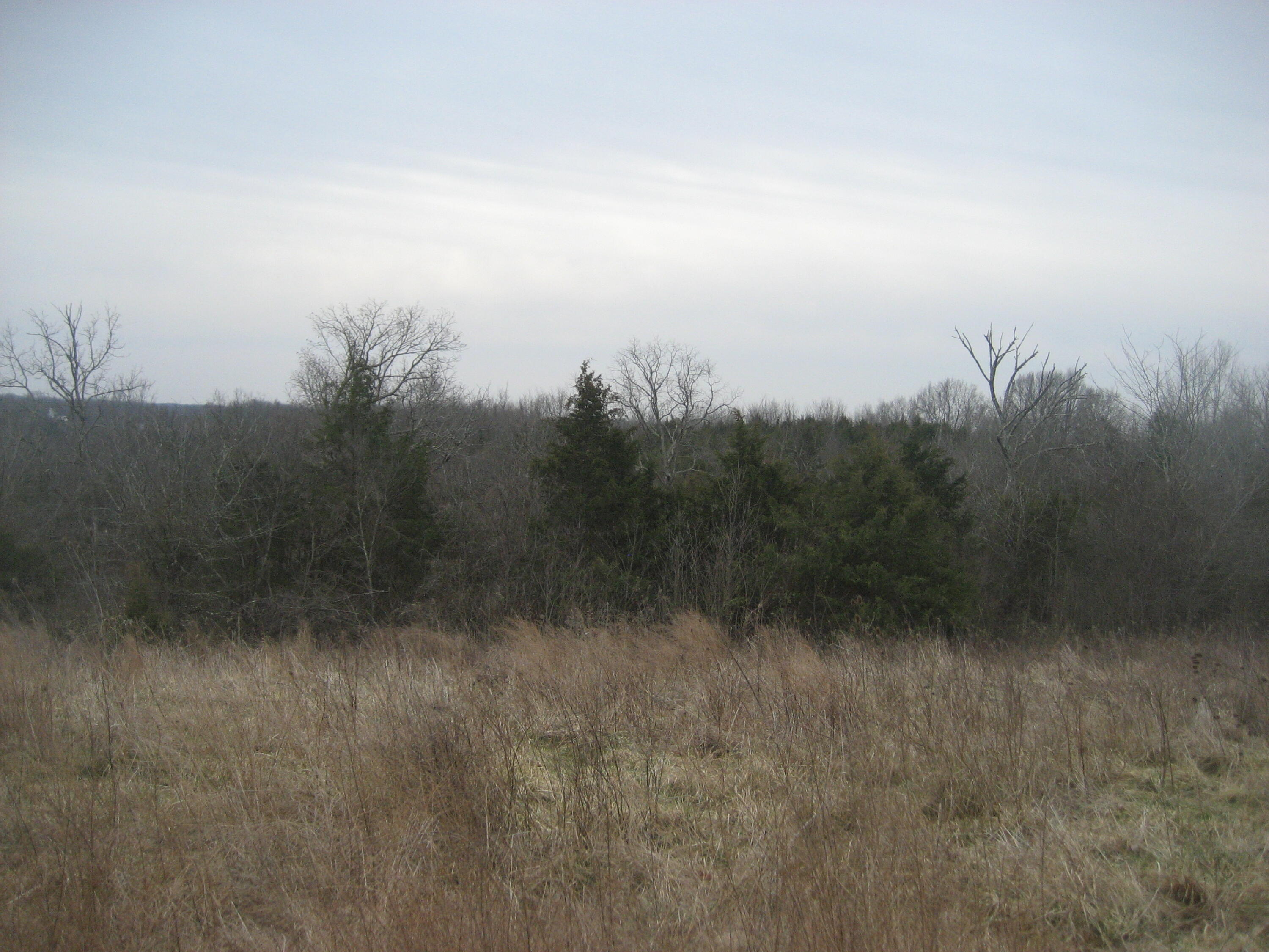 1234 Rutherford School Rd Rutherford School Road Property Photo 6