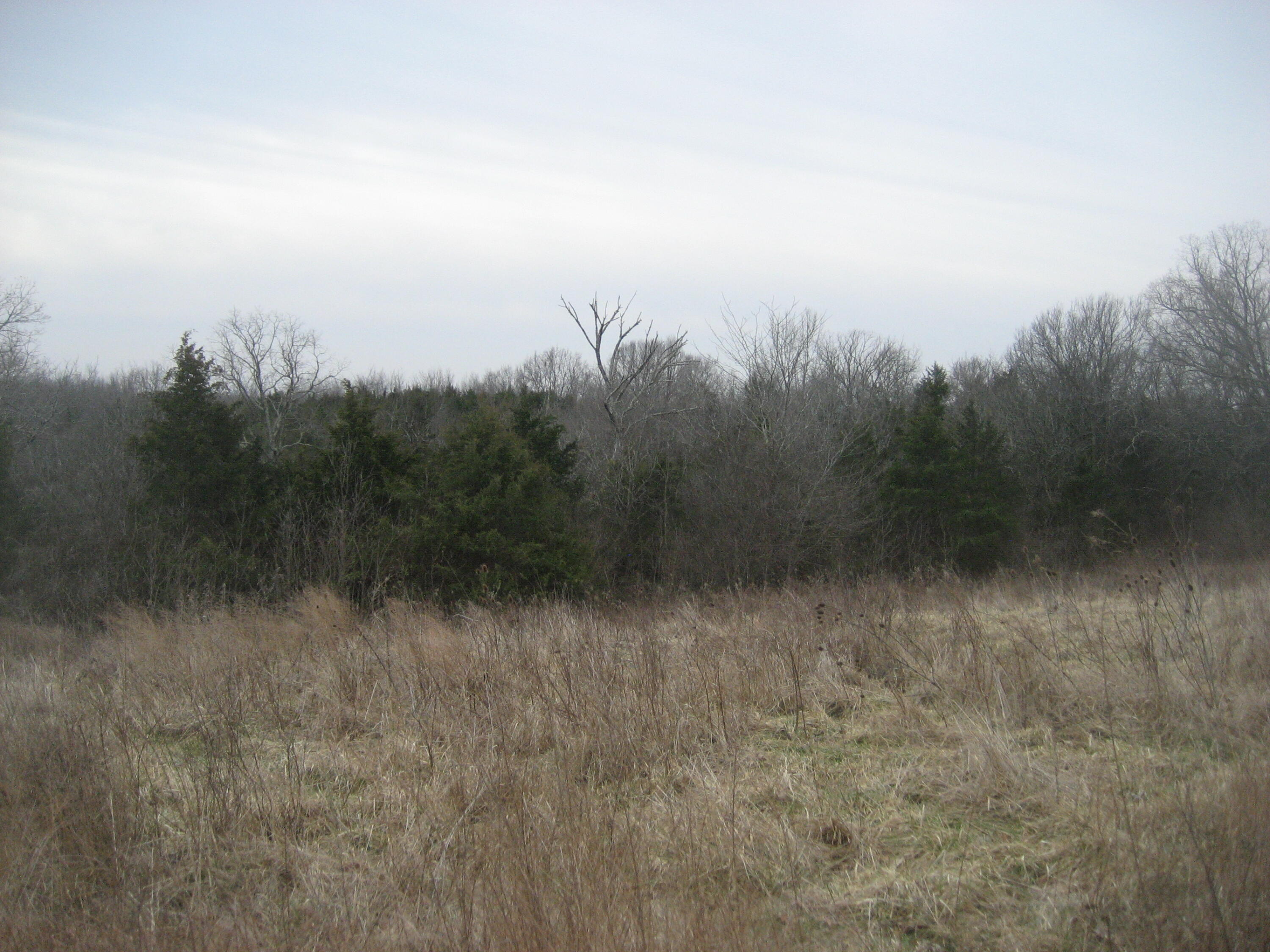 1234 Rutherford School Rd Rutherford School Road Property Photo 7