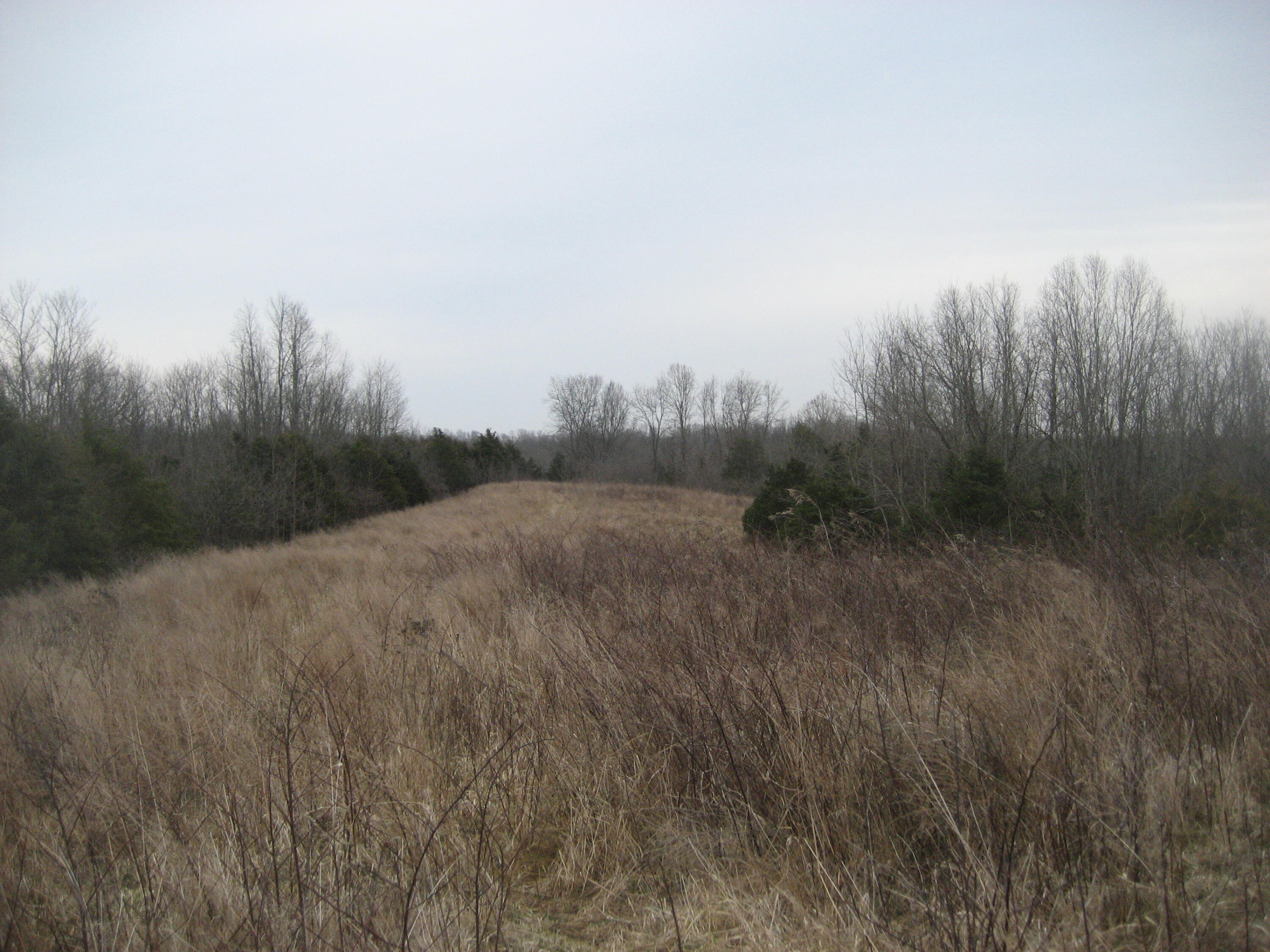 1234 Rutherford School Rd Rutherford School Road Property Photo 9