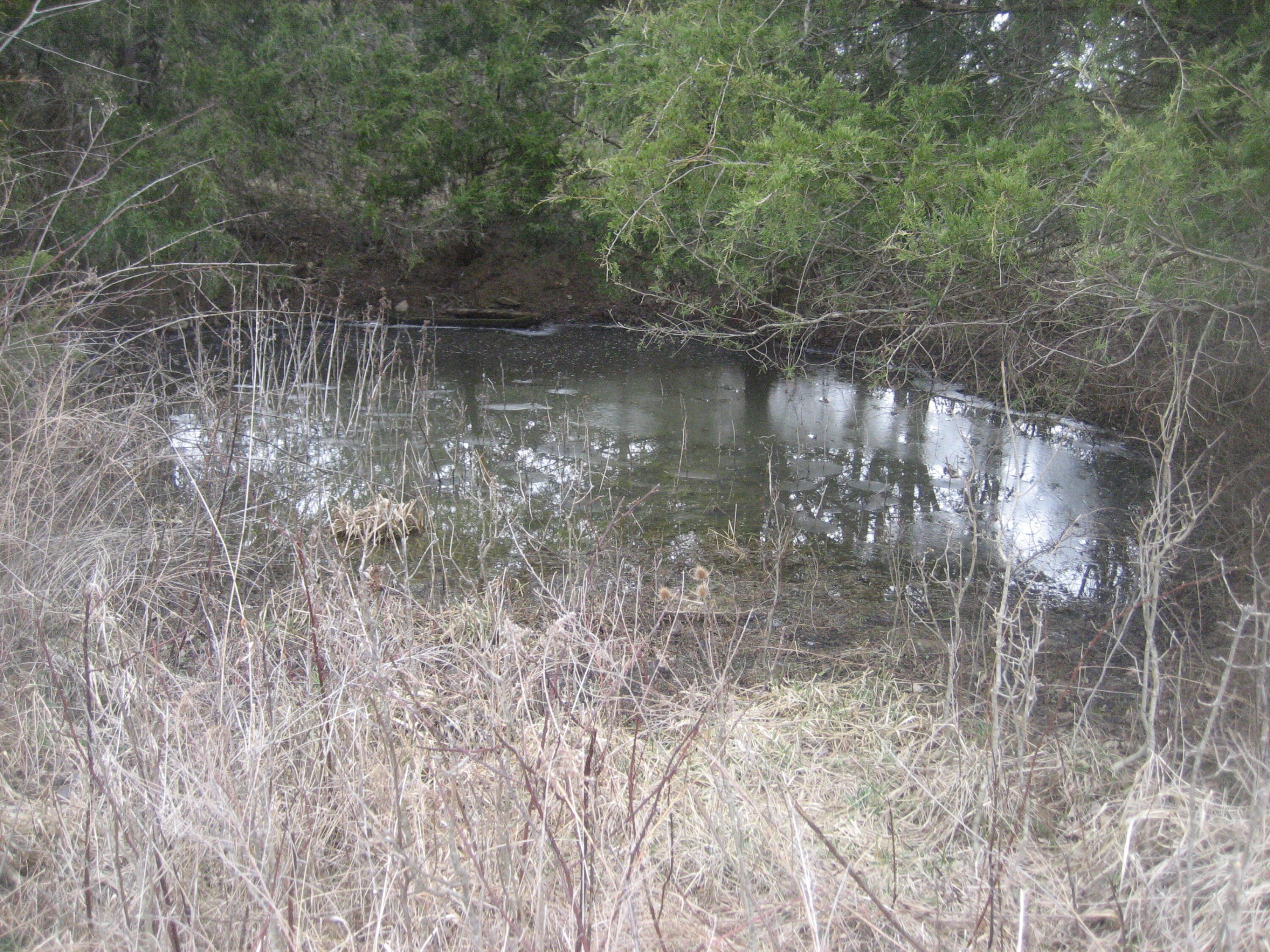 1234 Rutherford School Rd Rutherford School Road Property Photo 10