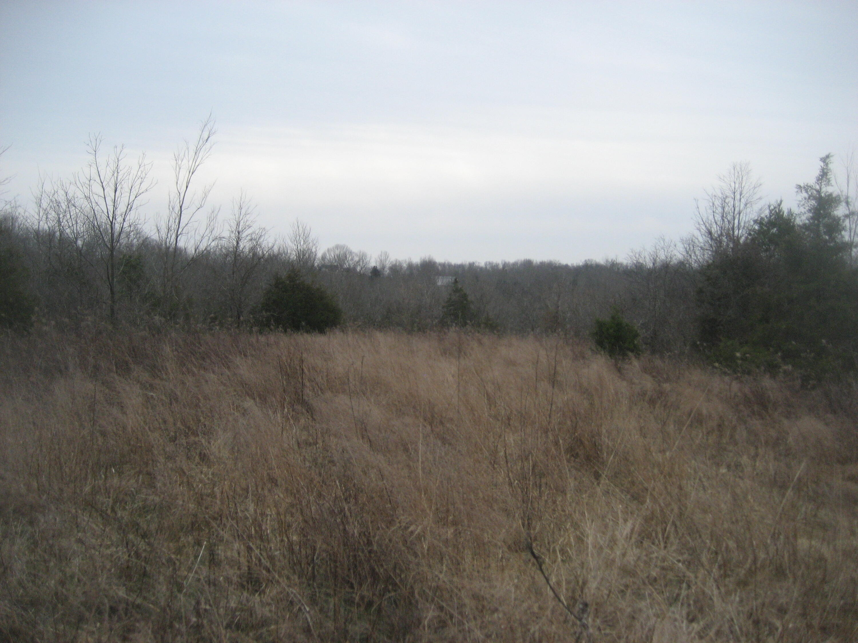 1234 Rutherford School Rd Rutherford School Road Property Photo 11
