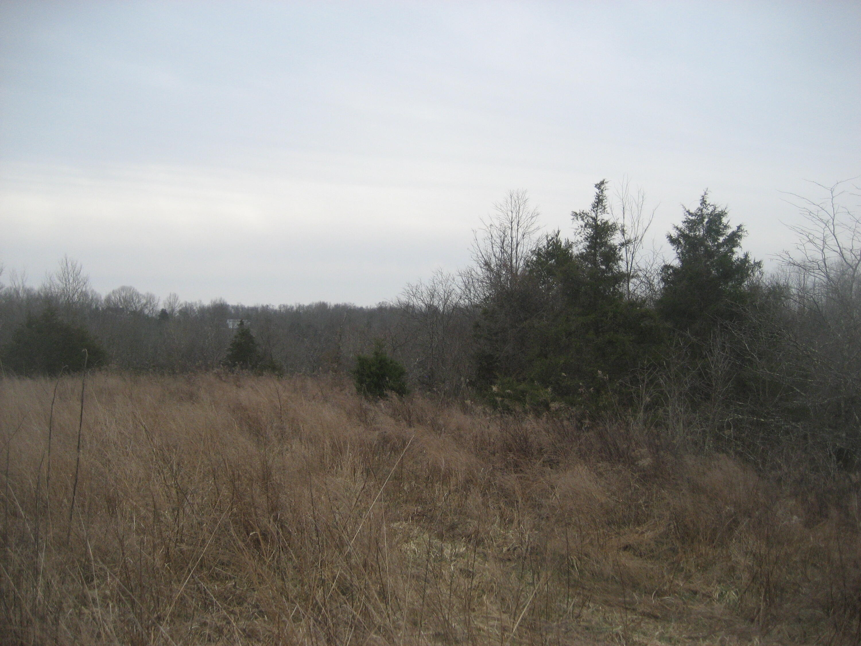 1234 Rutherford School Rd Rutherford School Road Property Photo 12