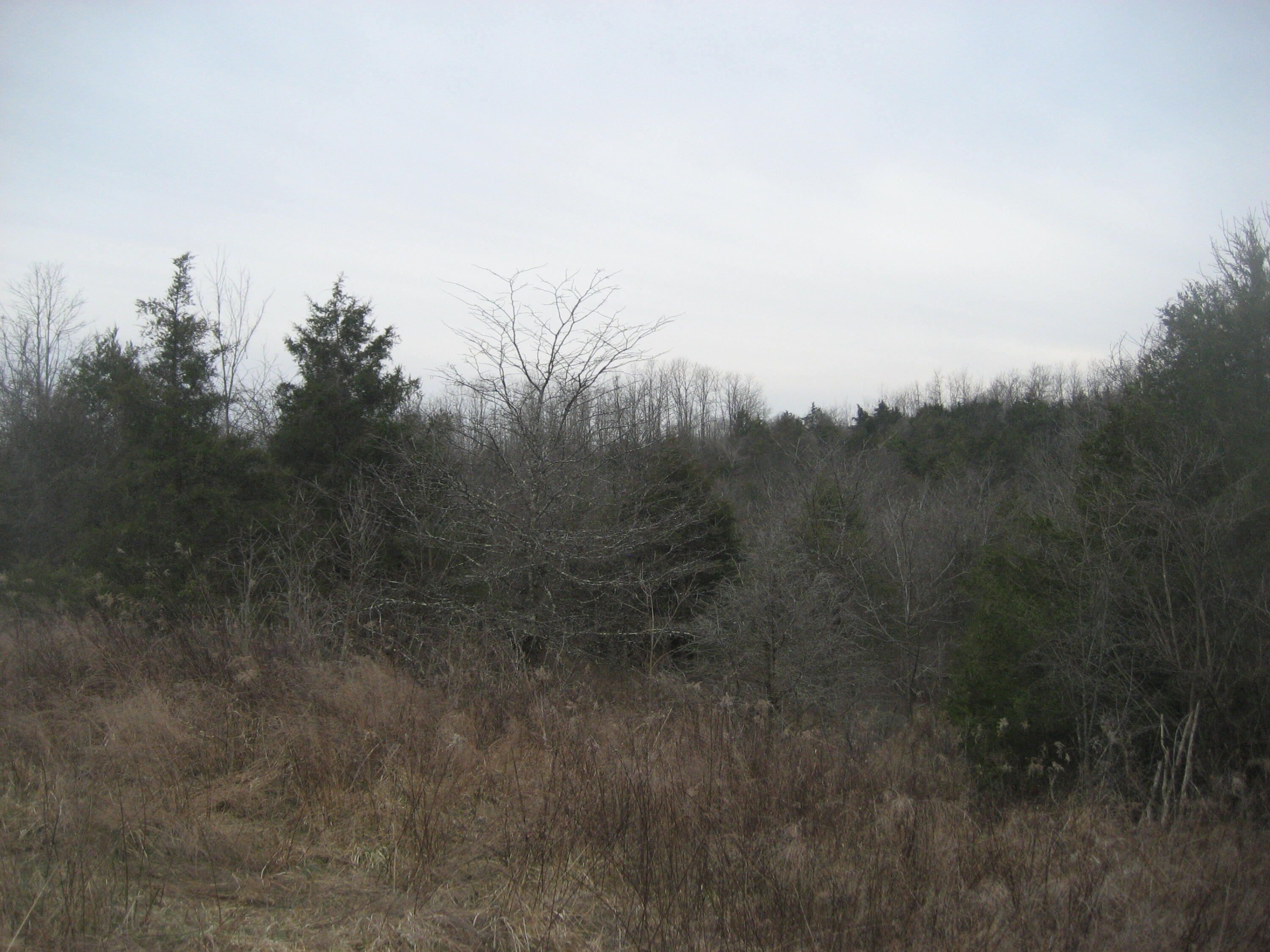 1234 Rutherford School Rd Rutherford School Road Property Photo 13