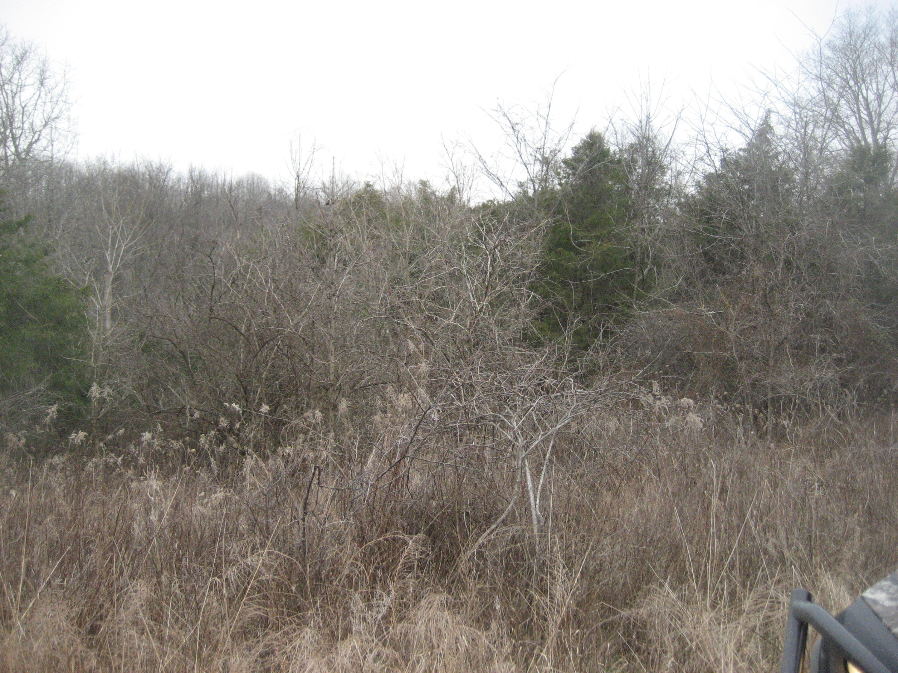 1234 Rutherford School Rd Rutherford School Road Property Photo 15