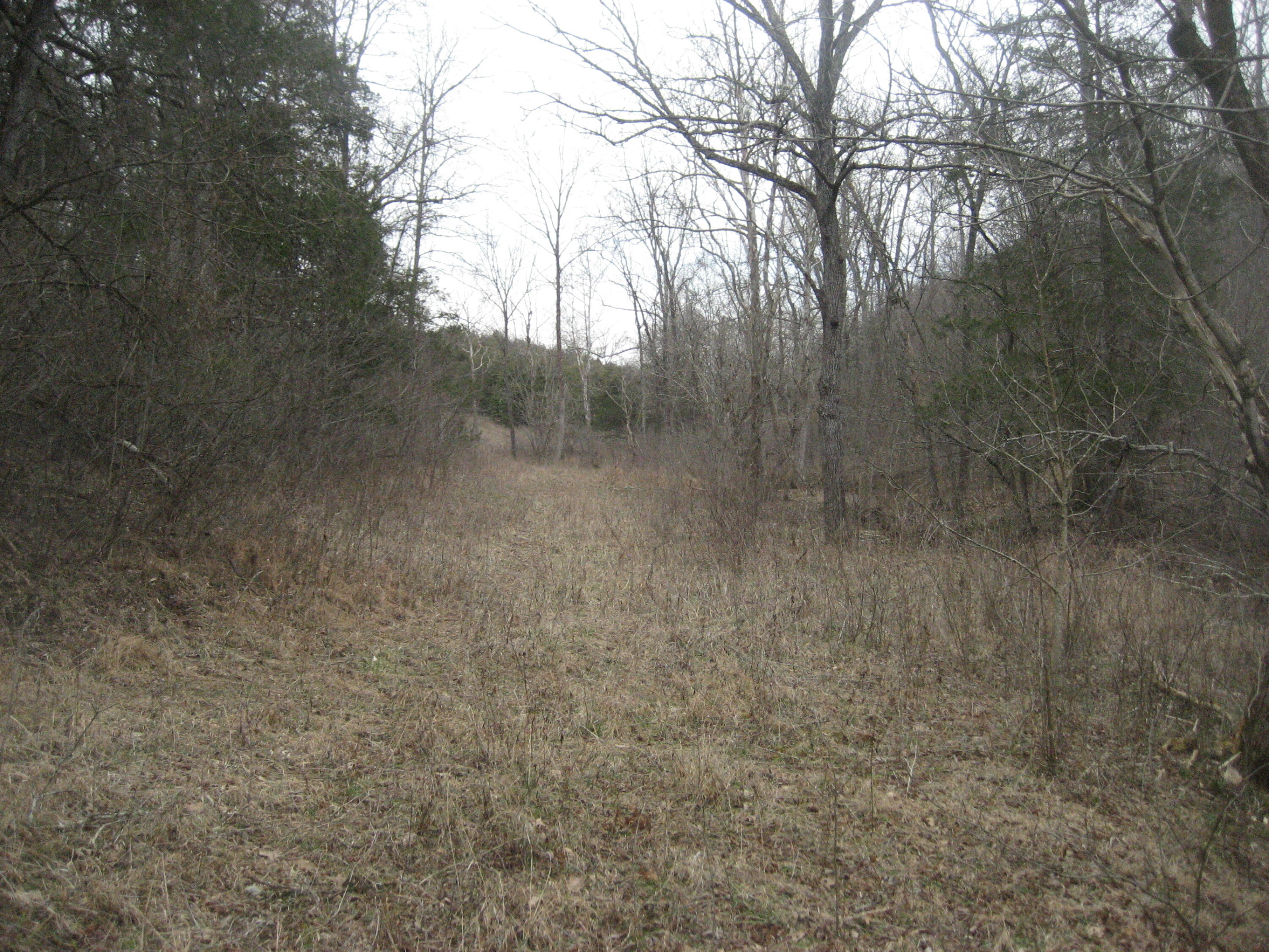1234 Rutherford School Rd Rutherford School Road Property Photo 16