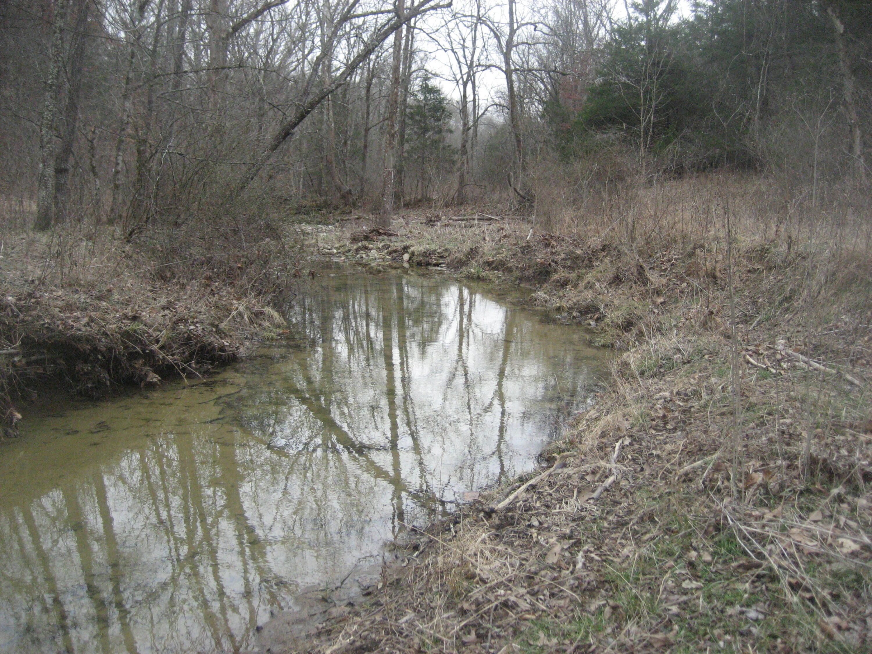 1234 Rutherford School Rd Rutherford School Road Property Photo 17