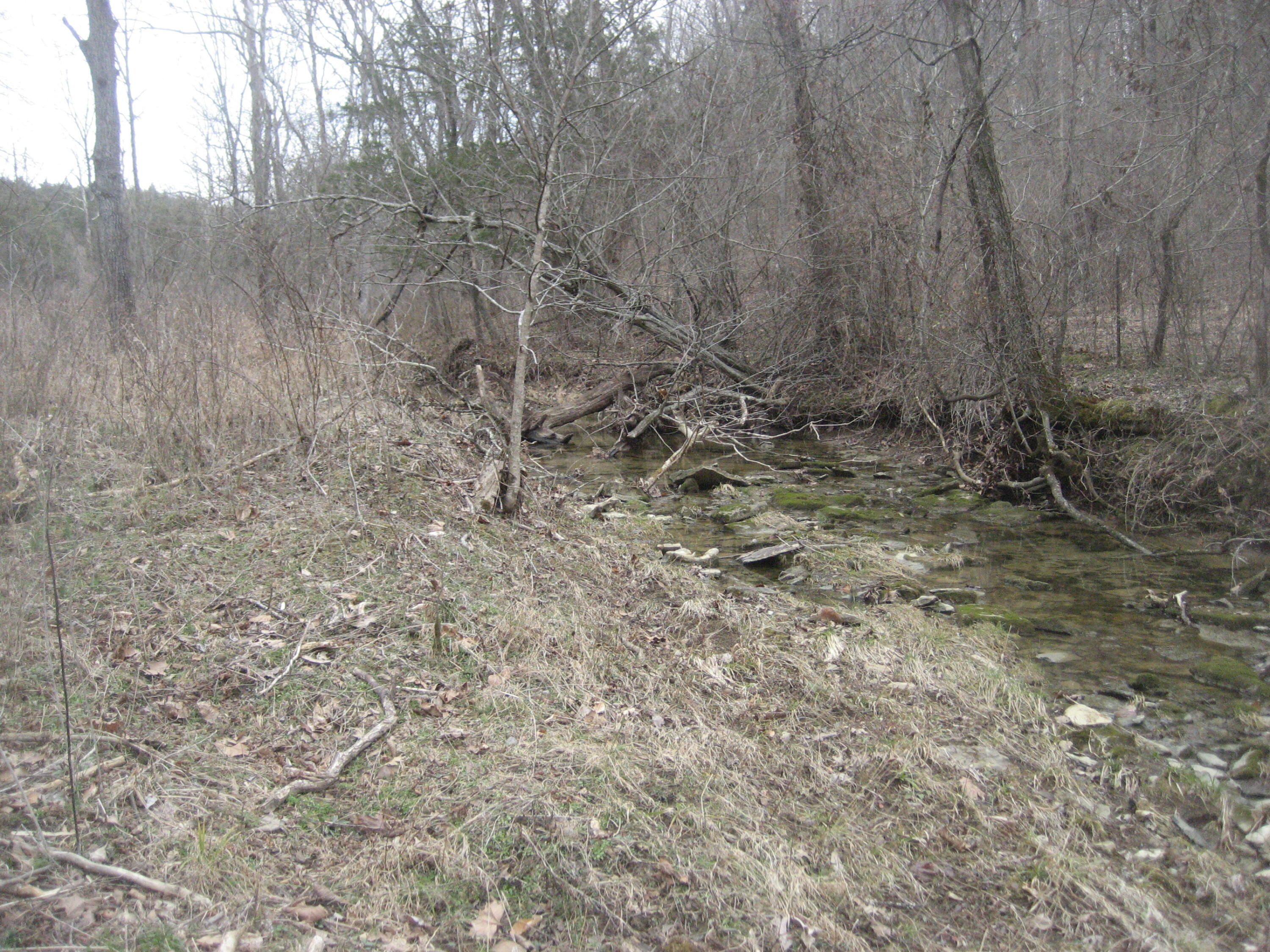 1234 Rutherford School Rd Rutherford School Road Property Photo 18