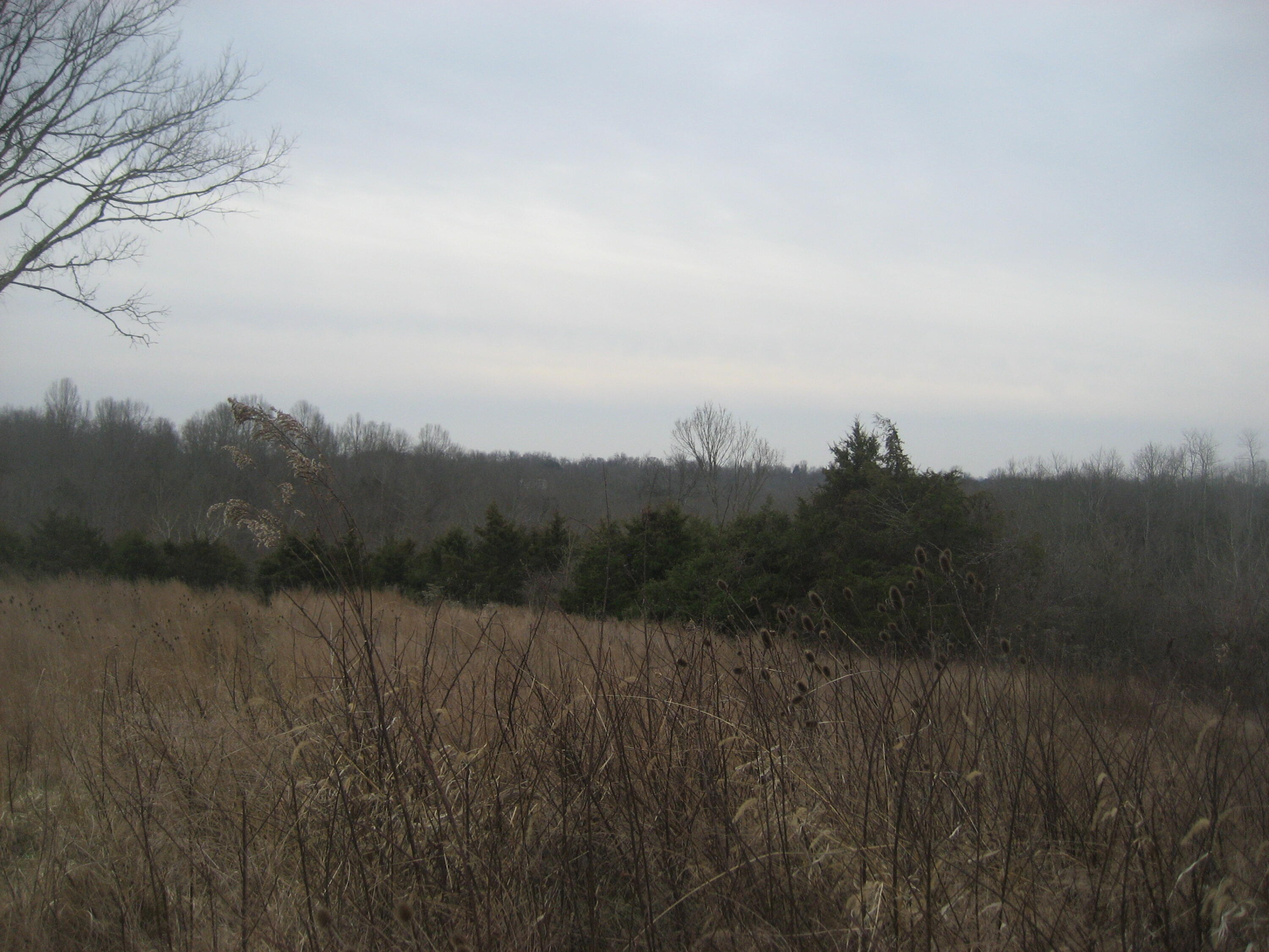 1234 Rutherford School Rd Rutherford School Road Property Photo 20