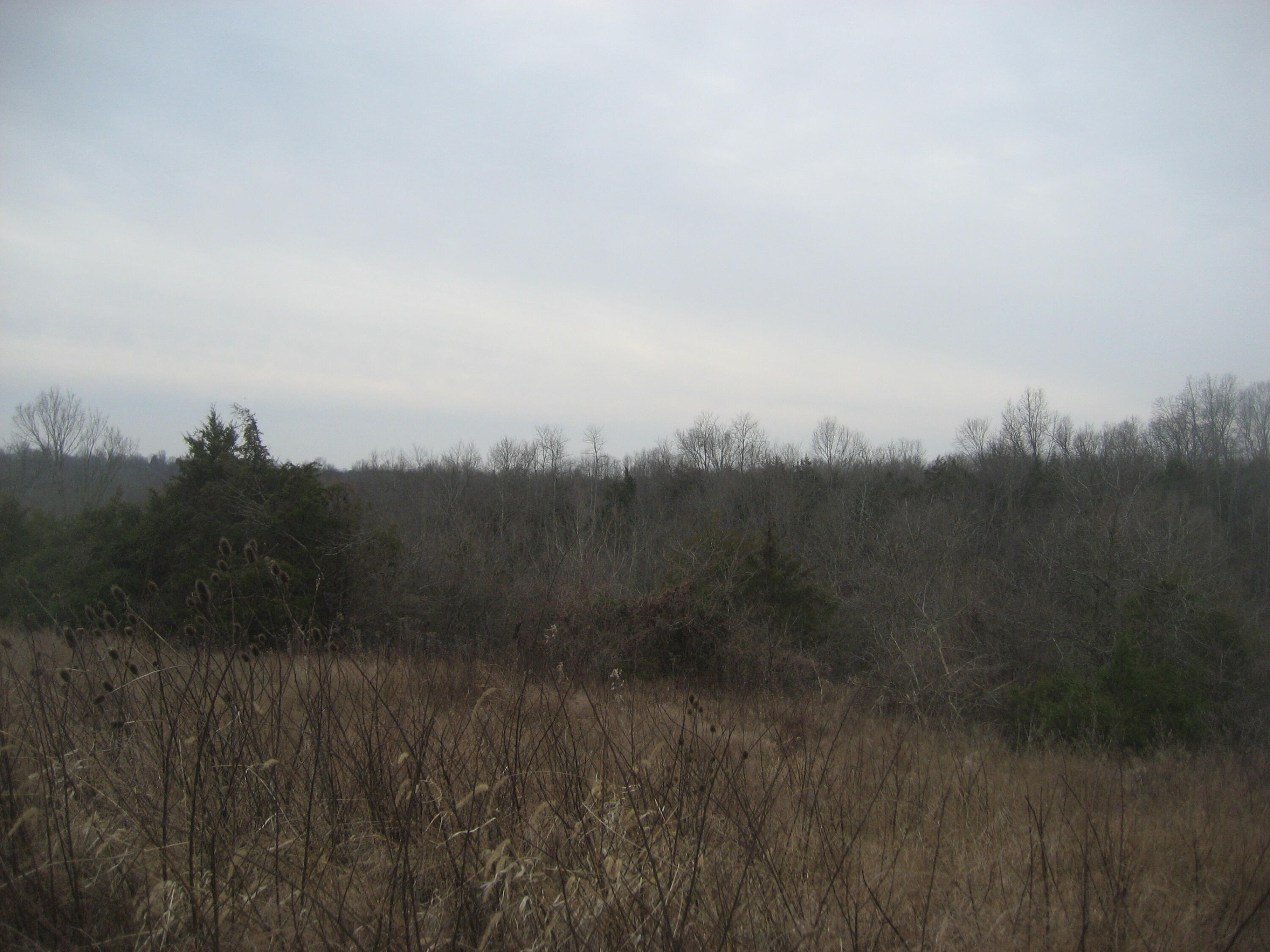 1234 Rutherford School Rd Rutherford School Road Property Photo 21