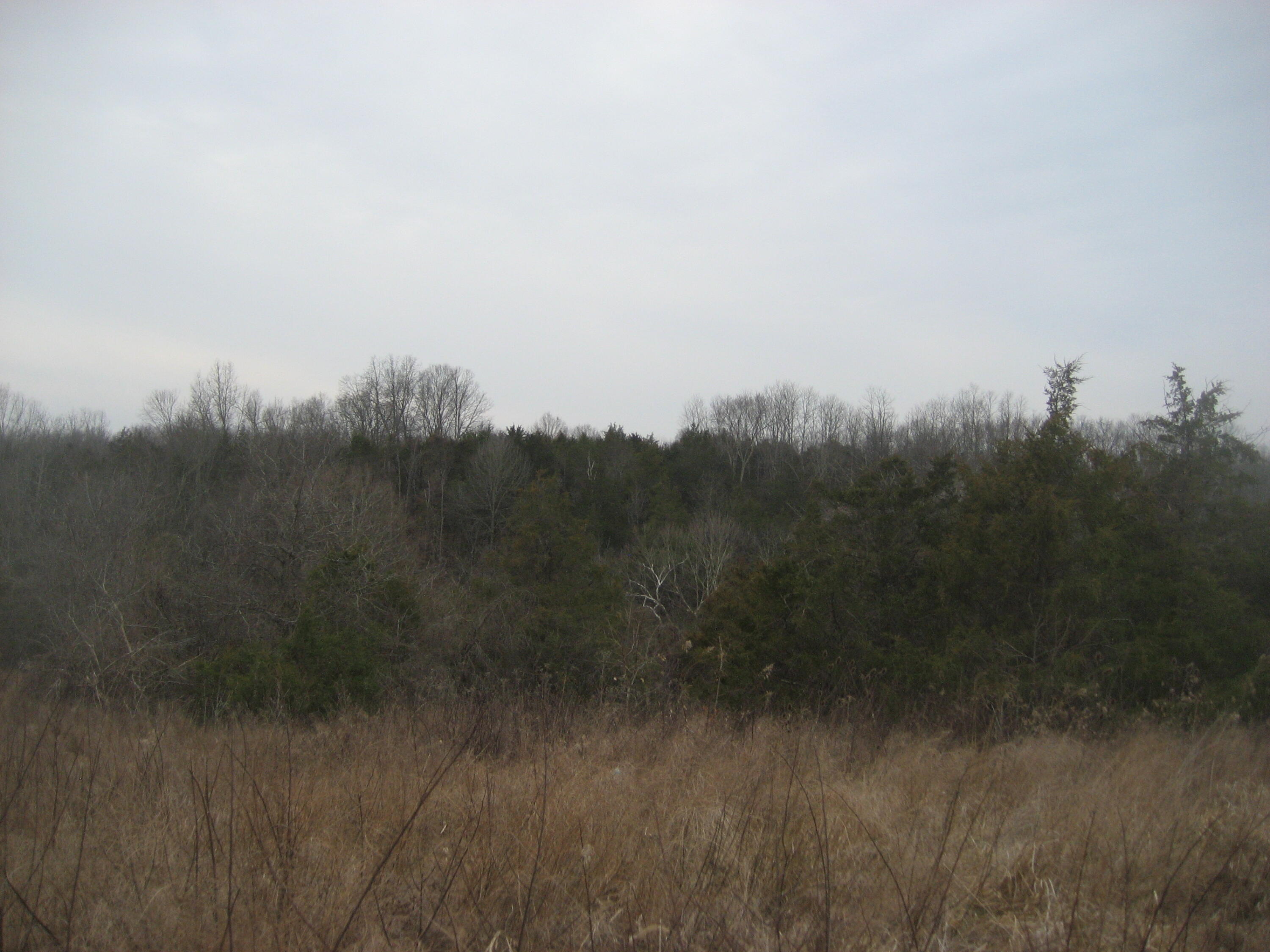 1234 Rutherford School Rd Rutherford School Road Property Photo 22