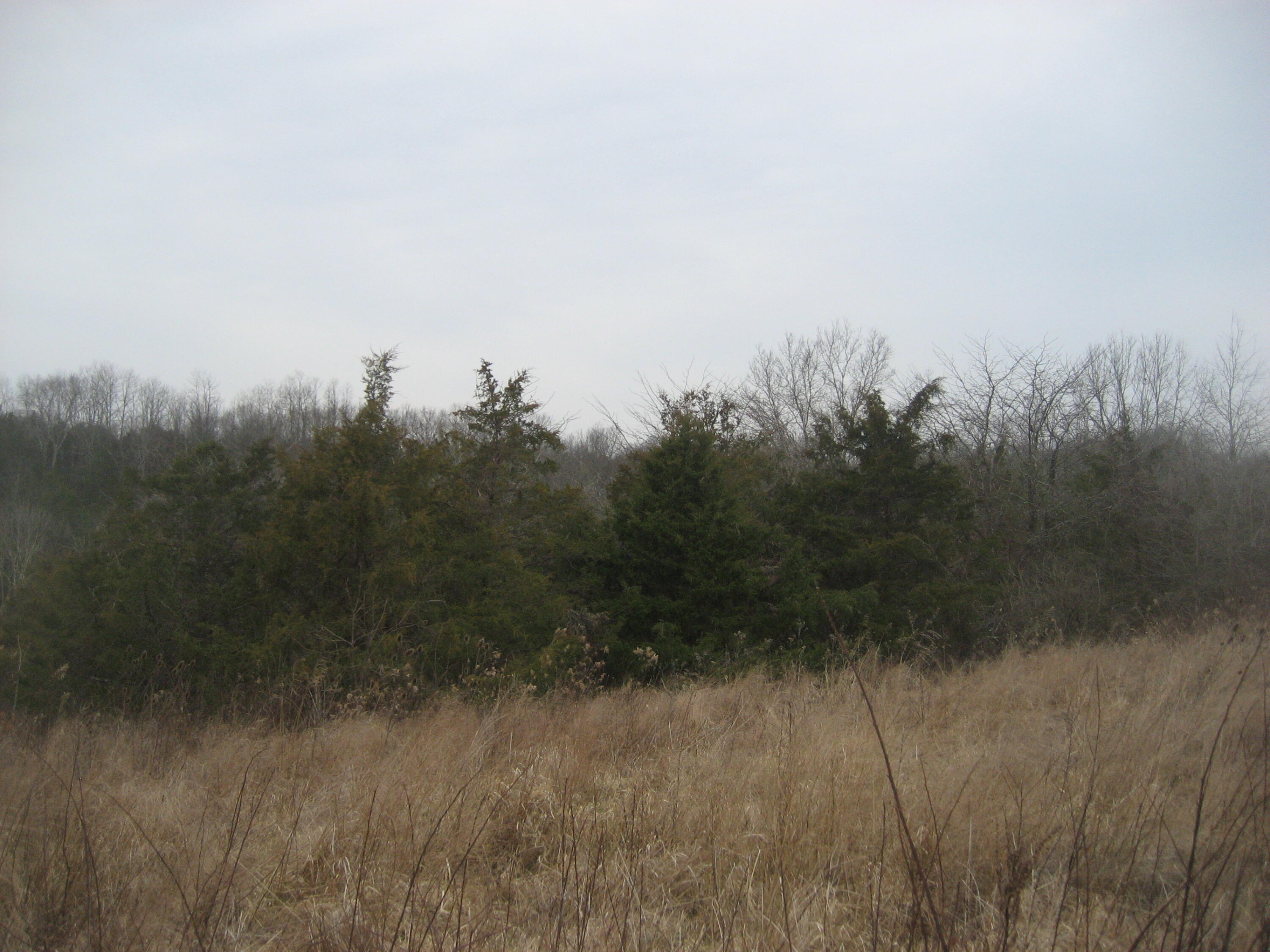 1234 Rutherford School Rd Rutherford School Road Property Photo 23