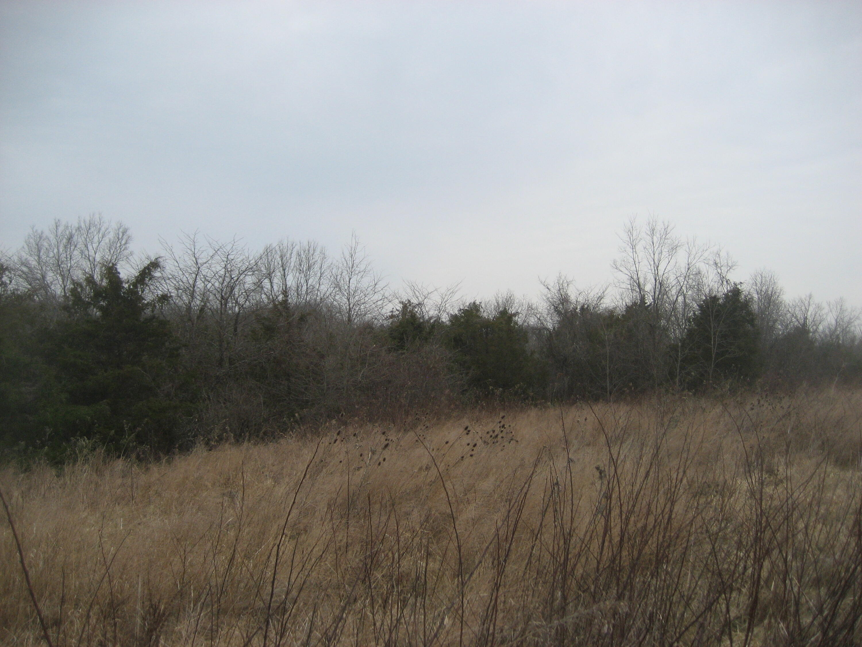 1234 Rutherford School Rd Rutherford School Road Property Photo 24