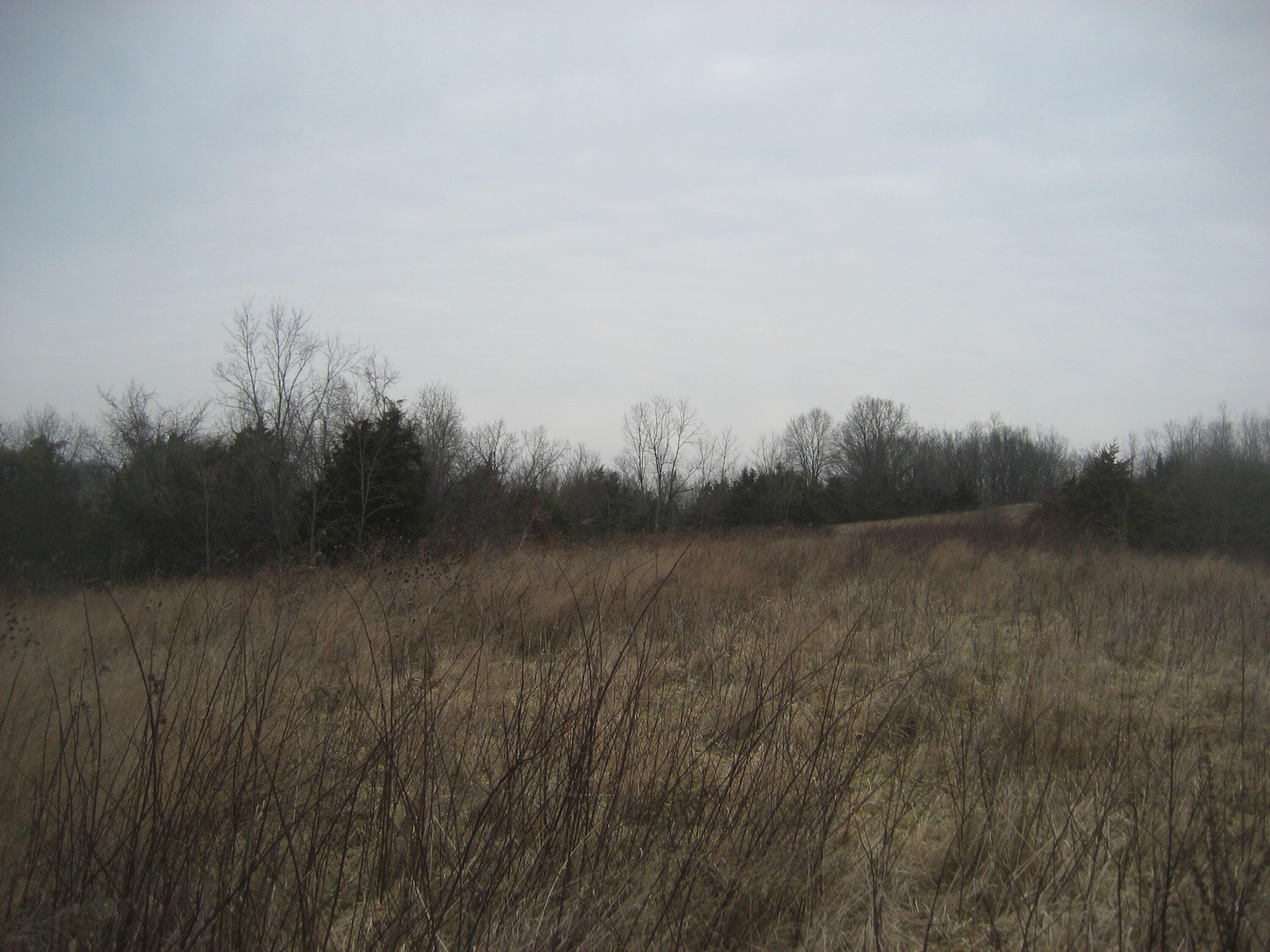 1234 Rutherford School Rd Rutherford School Road Property Photo 25