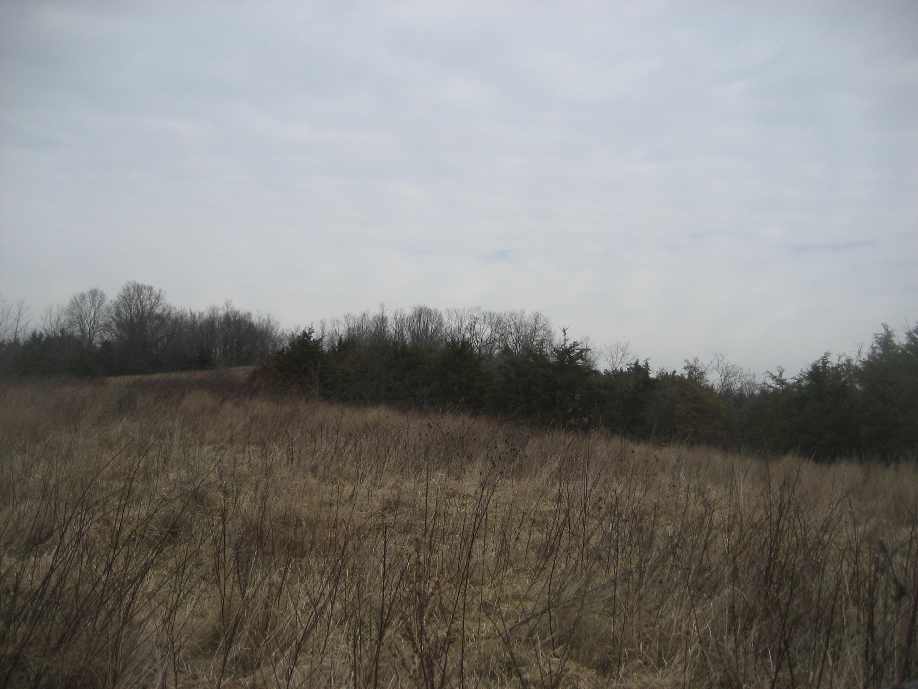 1234 Rutherford School Rd Rutherford School Road Property Photo 26