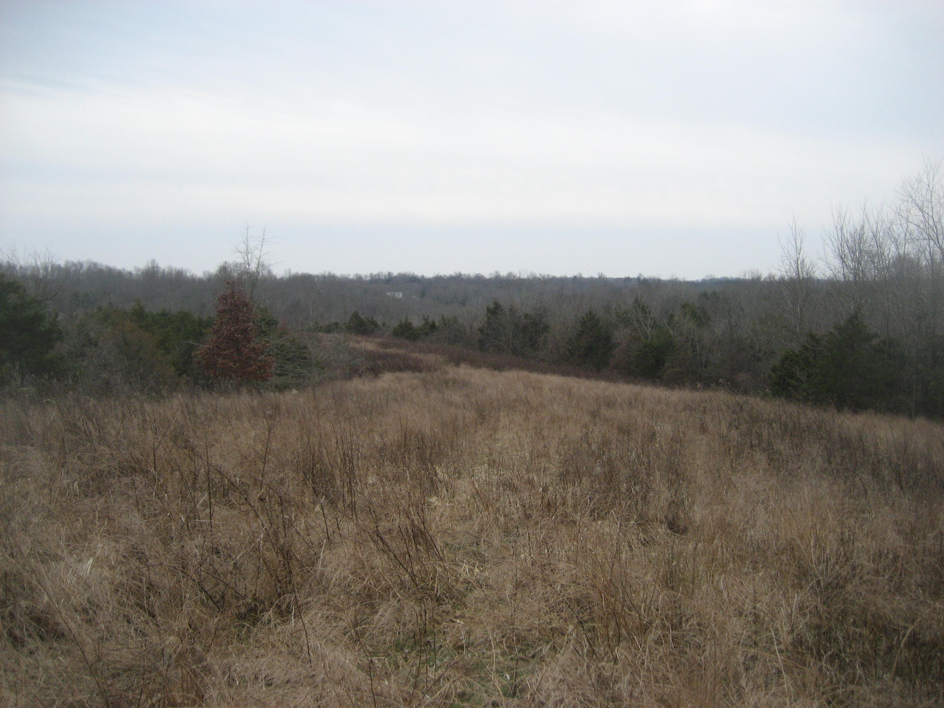 1234 Rutherford School Rd Rutherford School Road Property Photo 27