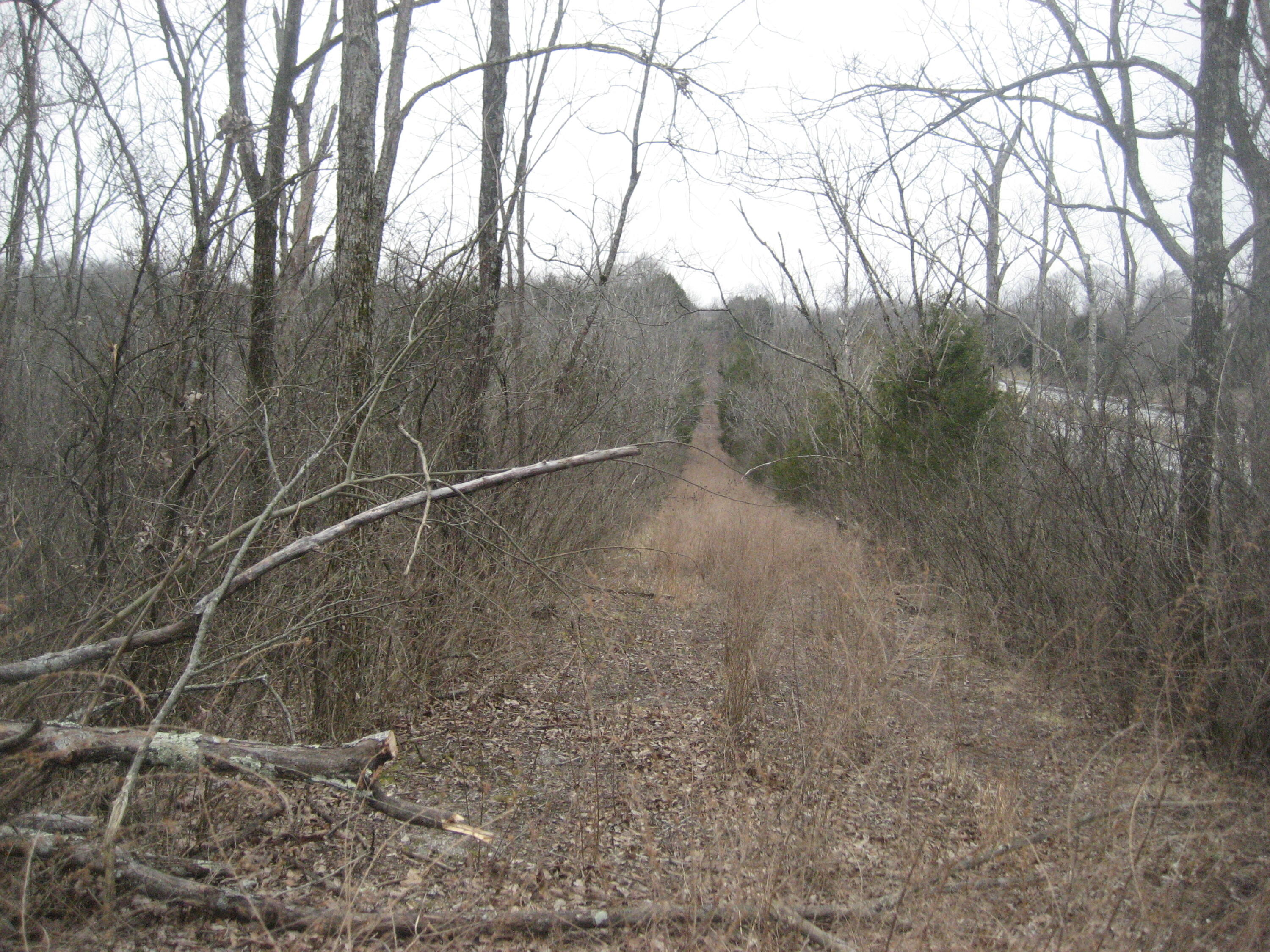 1234 Rutherford School Rd Rutherford School Road Property Photo 28