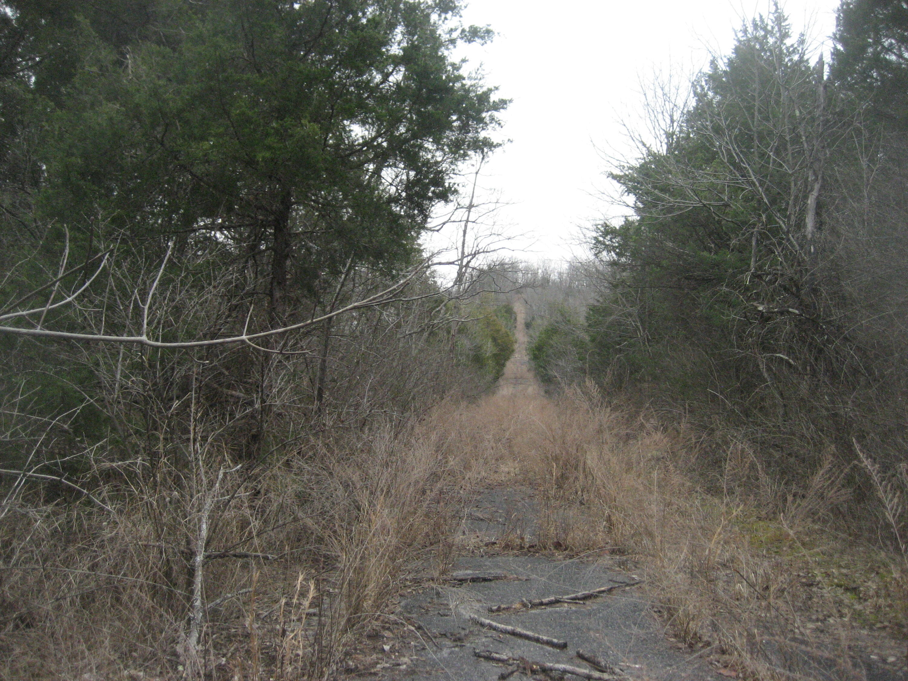 1234 Rutherford School Rd Rutherford School Road Property Photo 29