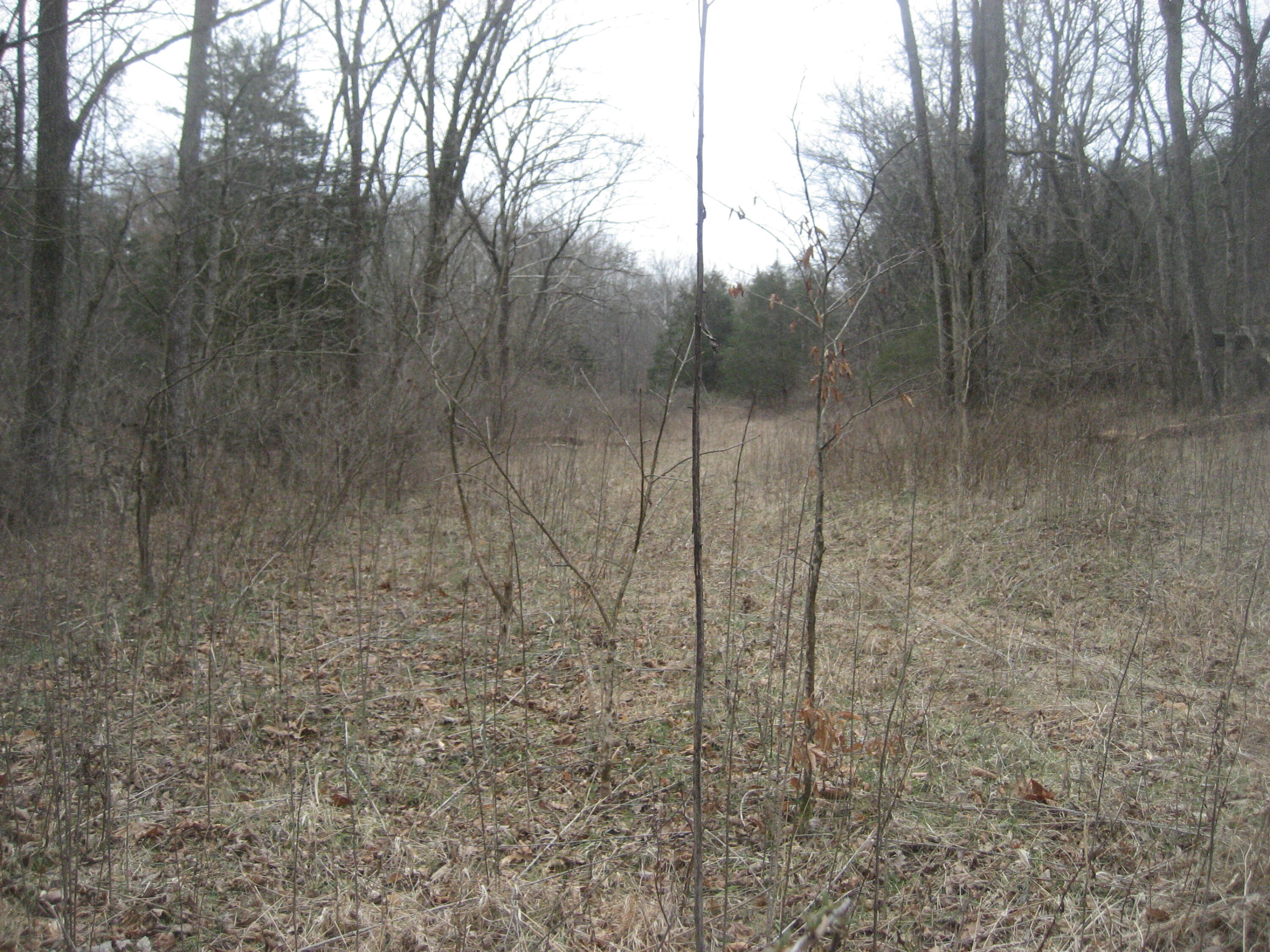1234 Rutherford School Rd Rutherford School Road Property Photo 30