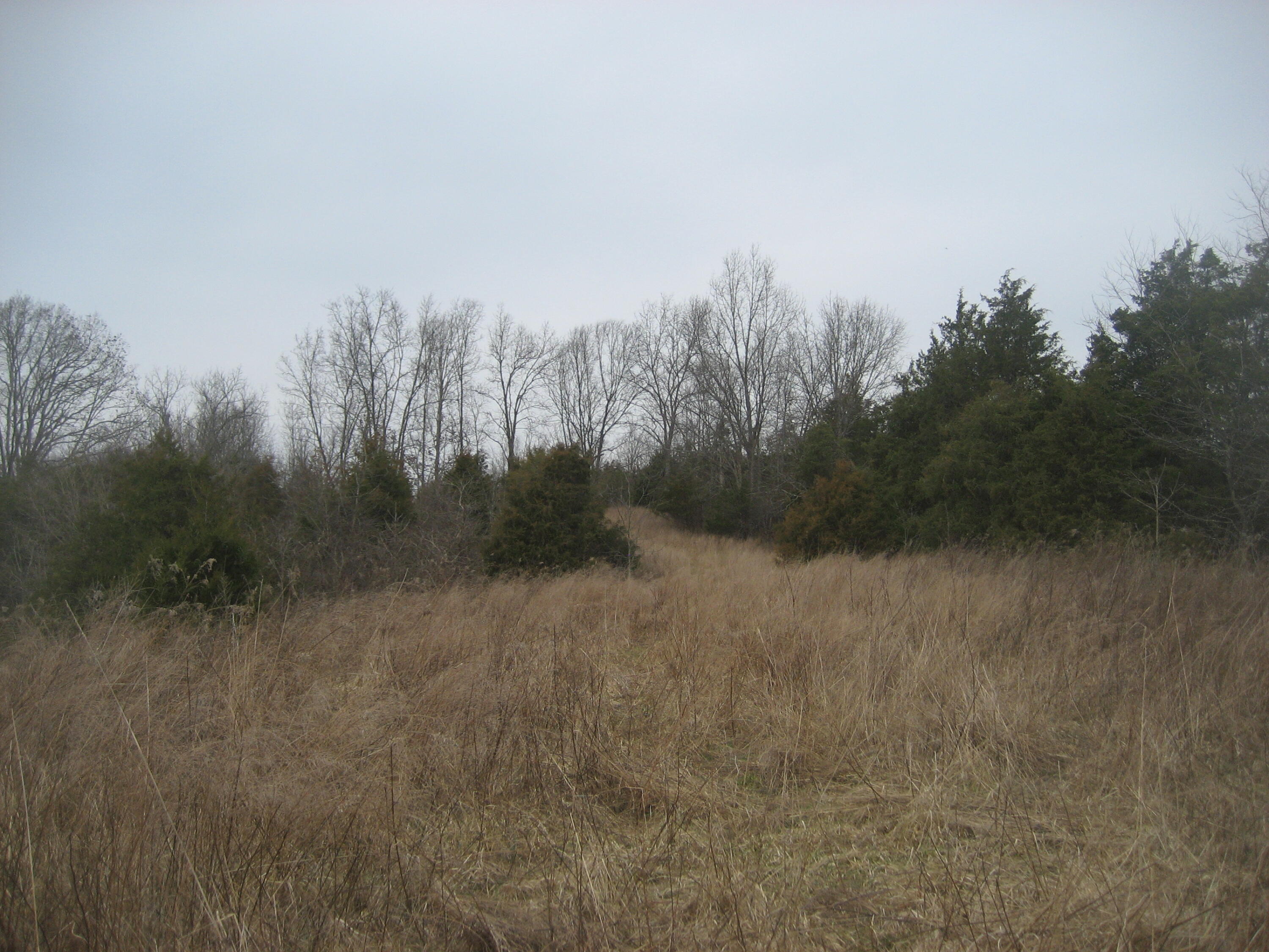 1234 Rutherford School Rd Rutherford School Road Property Photo 31