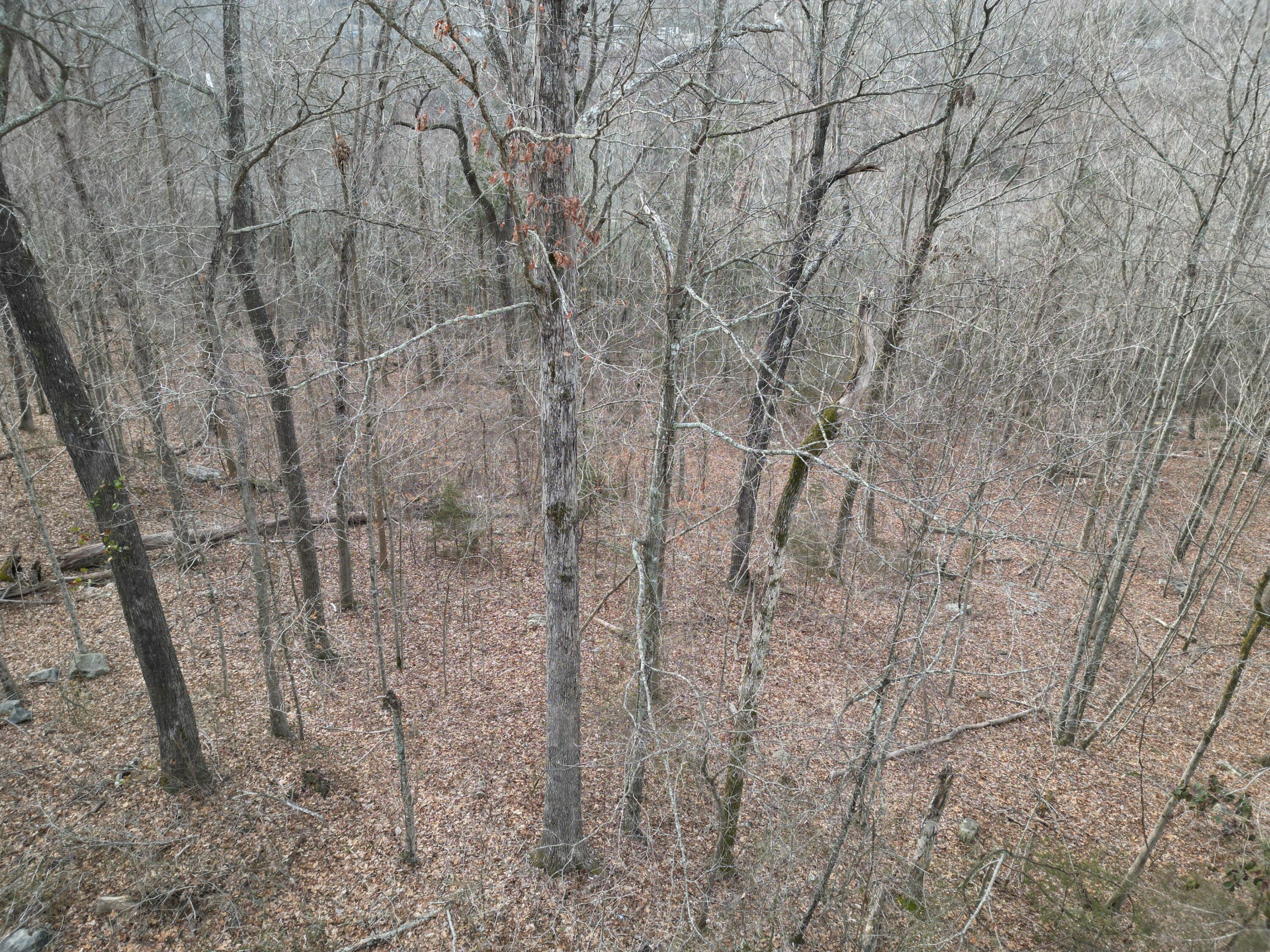 26 Colonel Drive Property Photo 4