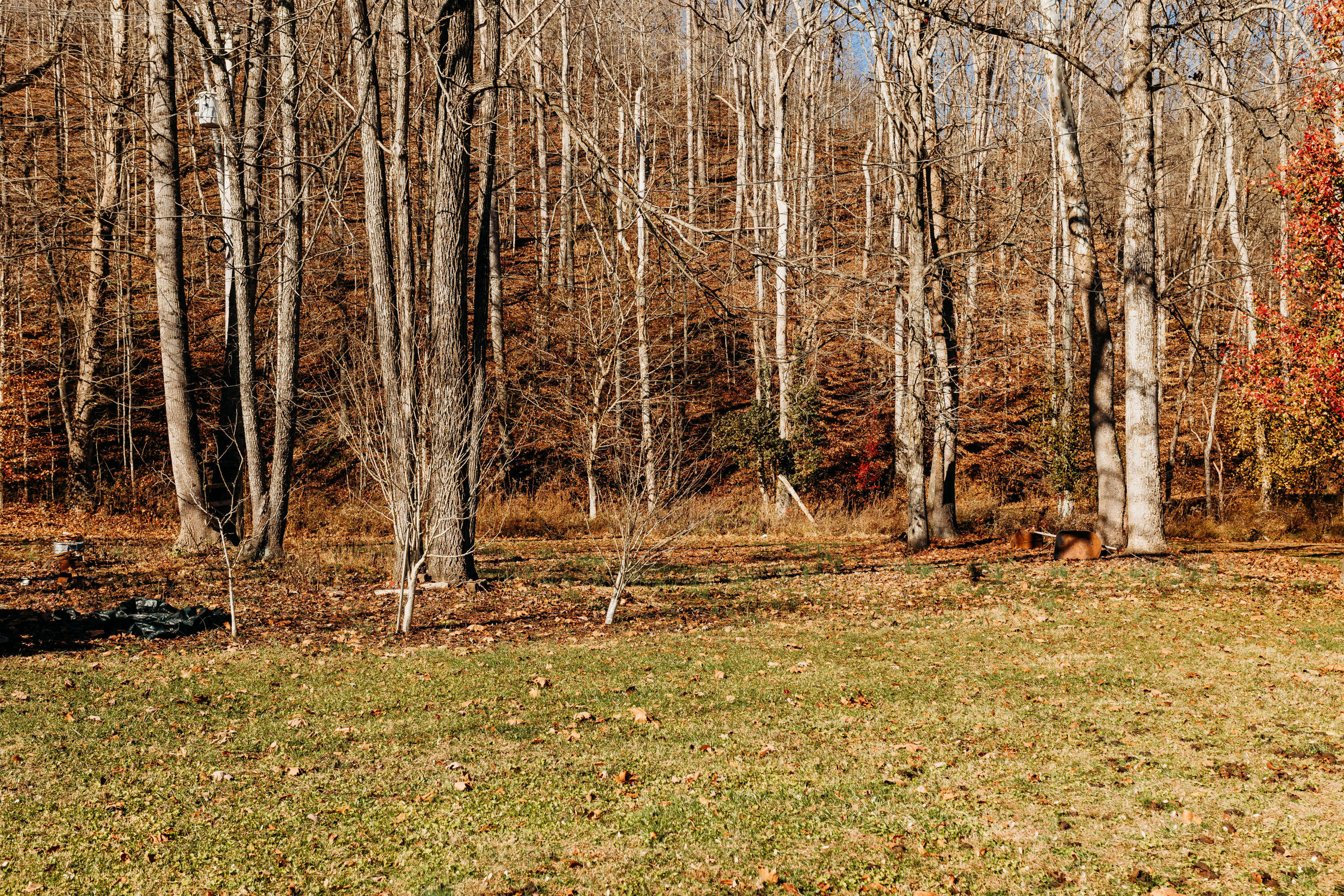 1057 Ky-36 Highway Property Photo 16