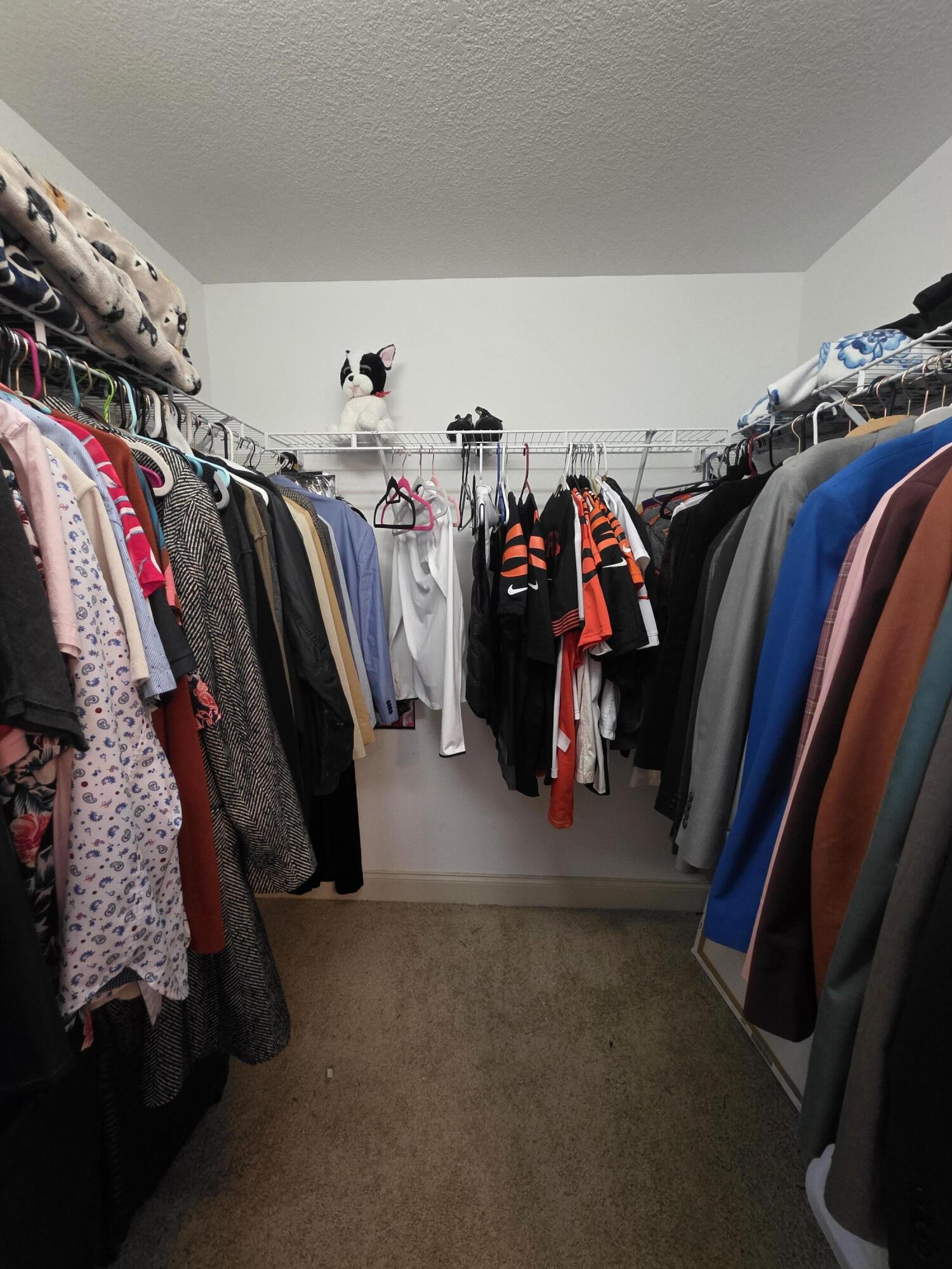 259 Silver Creek Drive Property Photo 46
