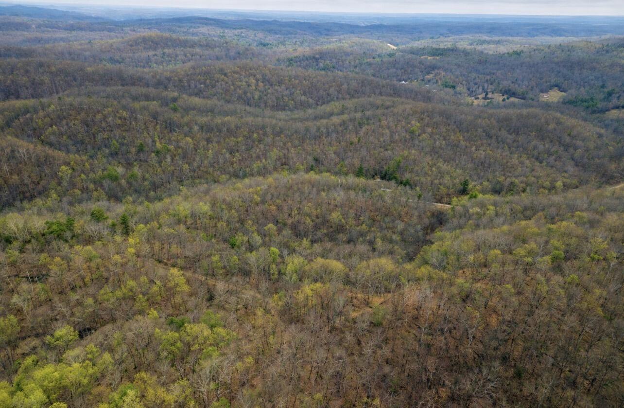 0000 Camp Branch Road Property Photo 6