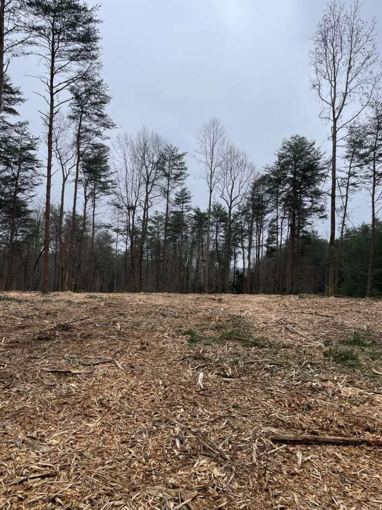 141 Pine Tree Circle Property Photo 2