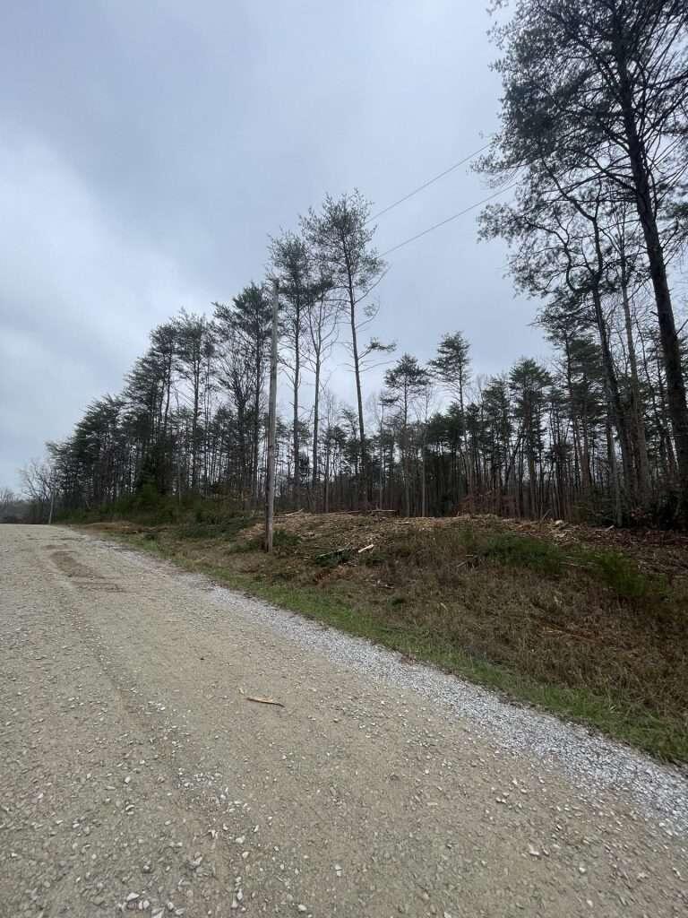 141 Pine Tree Circle Property Photo 3