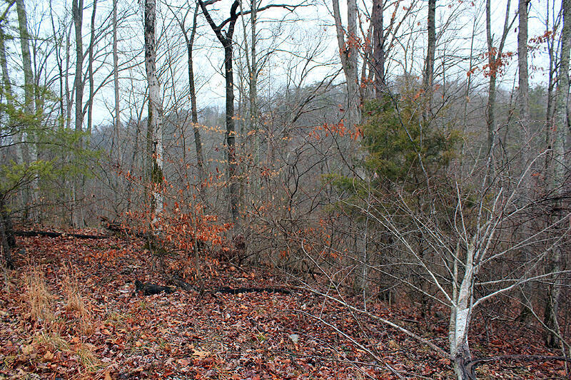 Lot 76 Sandstone Point Property Photo 4