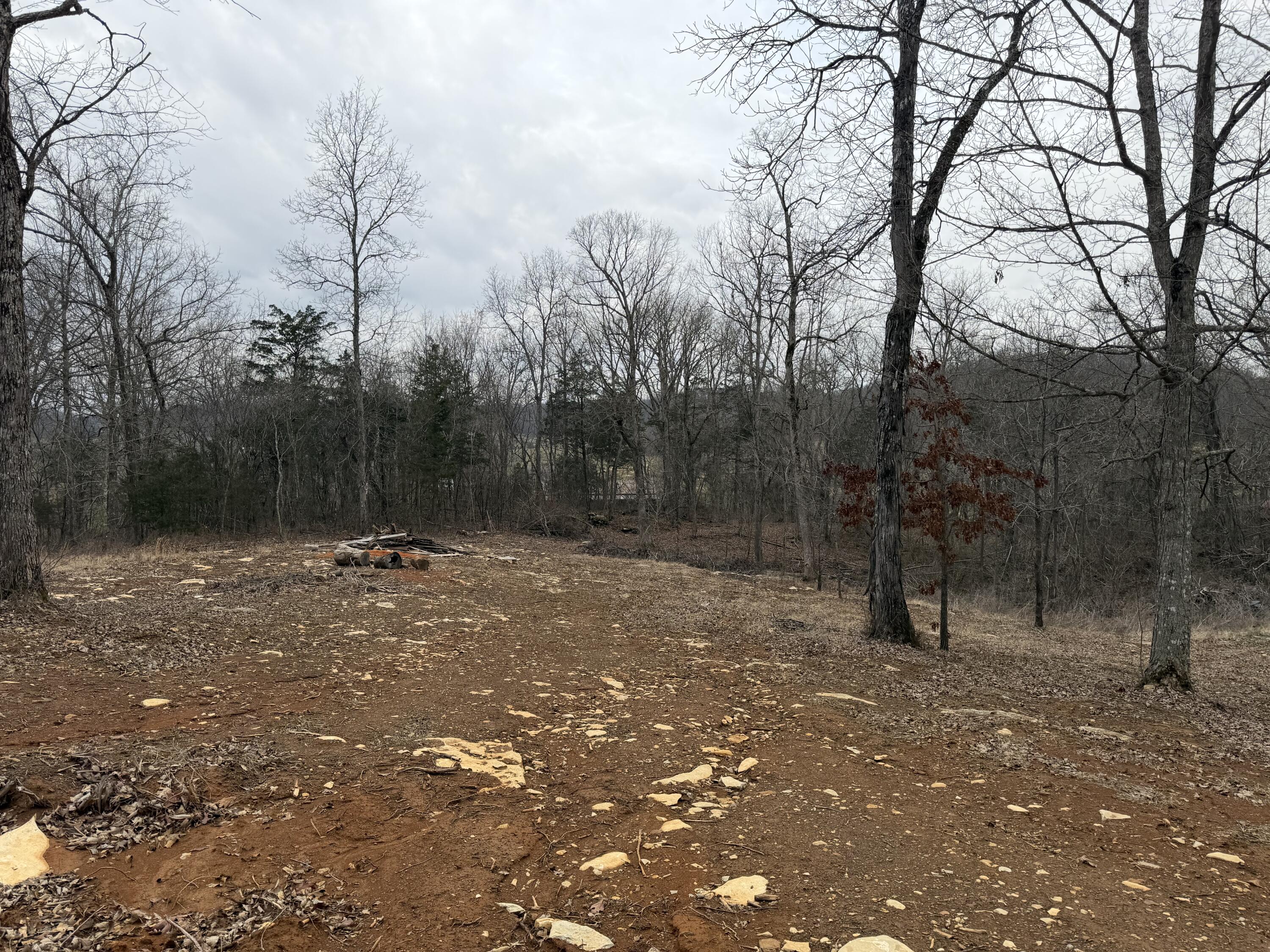 0 Abby Lane Property Photo 1